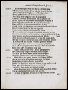 lammertneus17