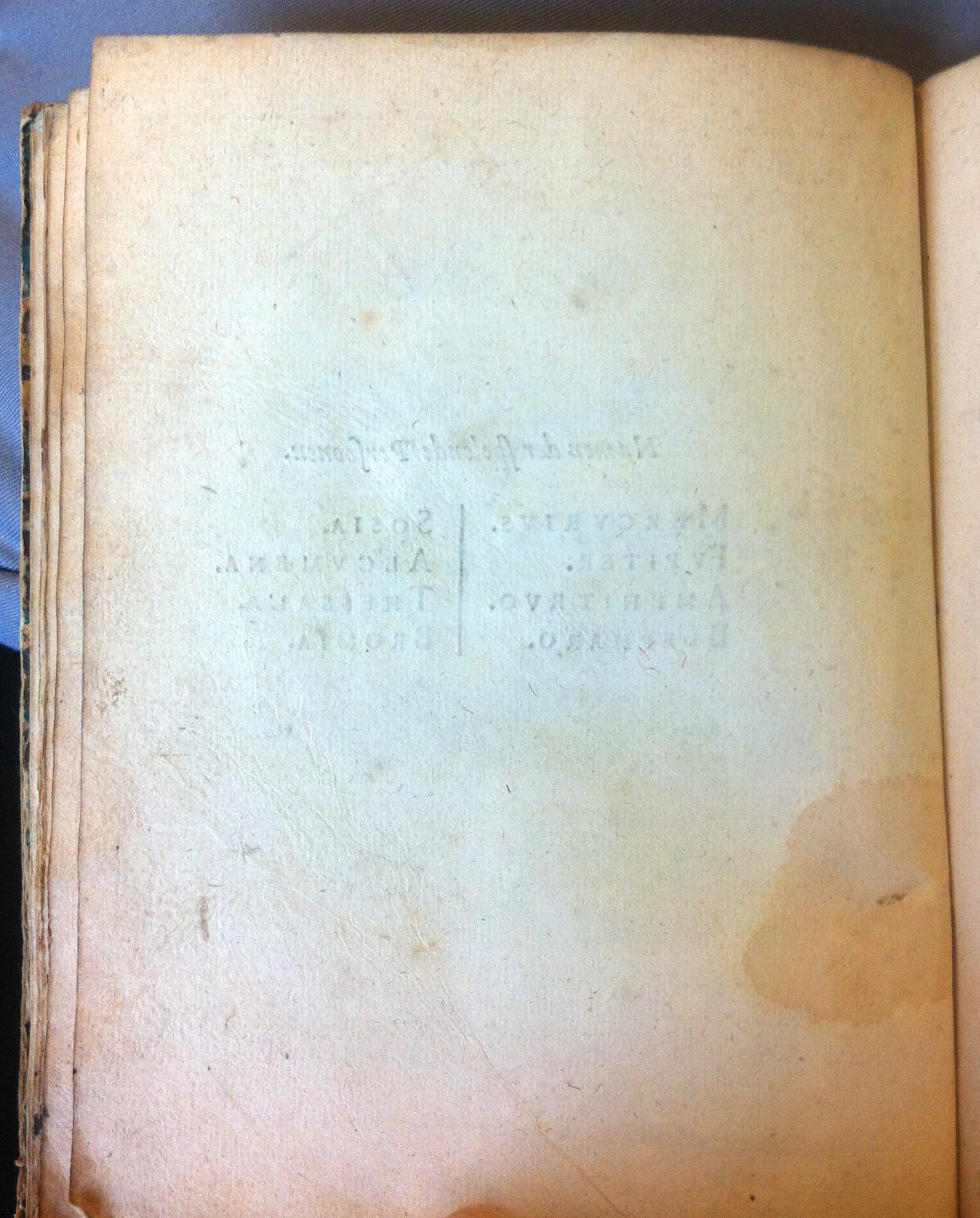 DammeAmphitruo161712.jpg