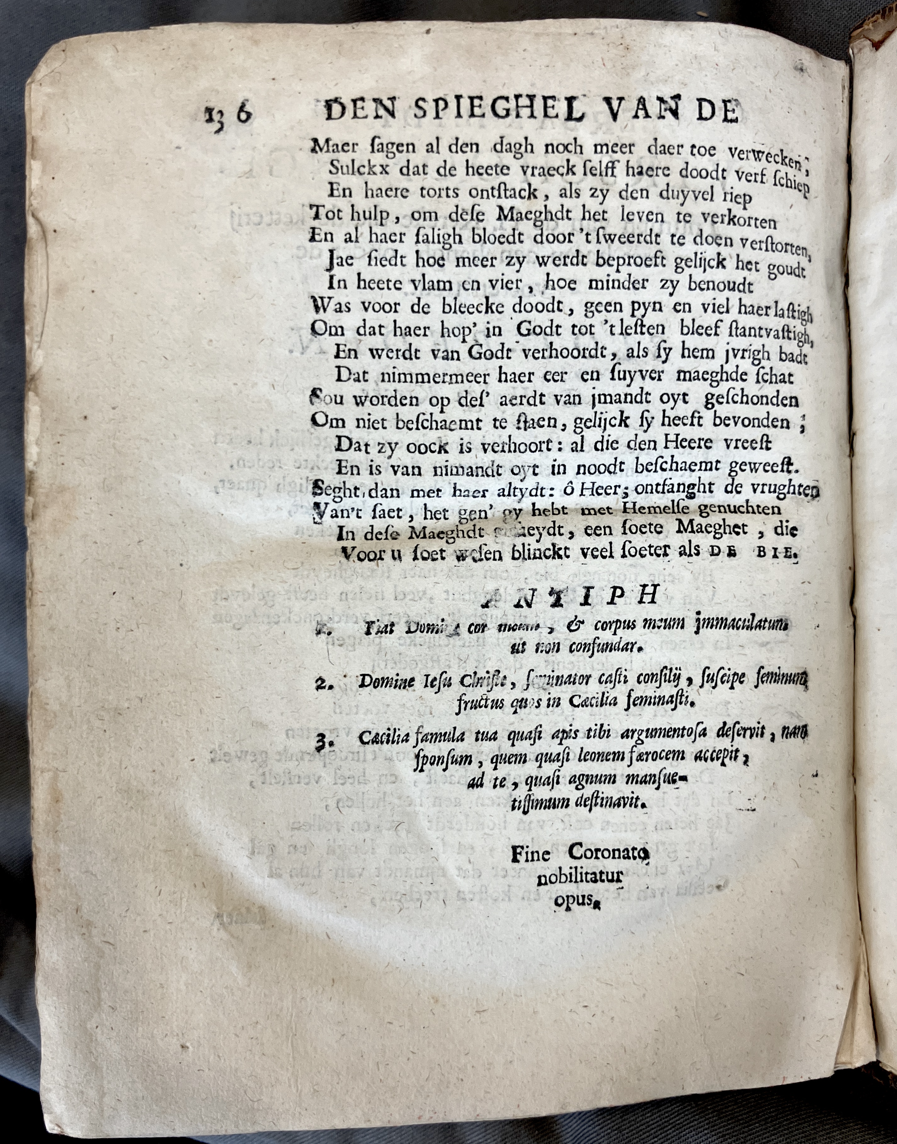 DeBieSmidt1671p136