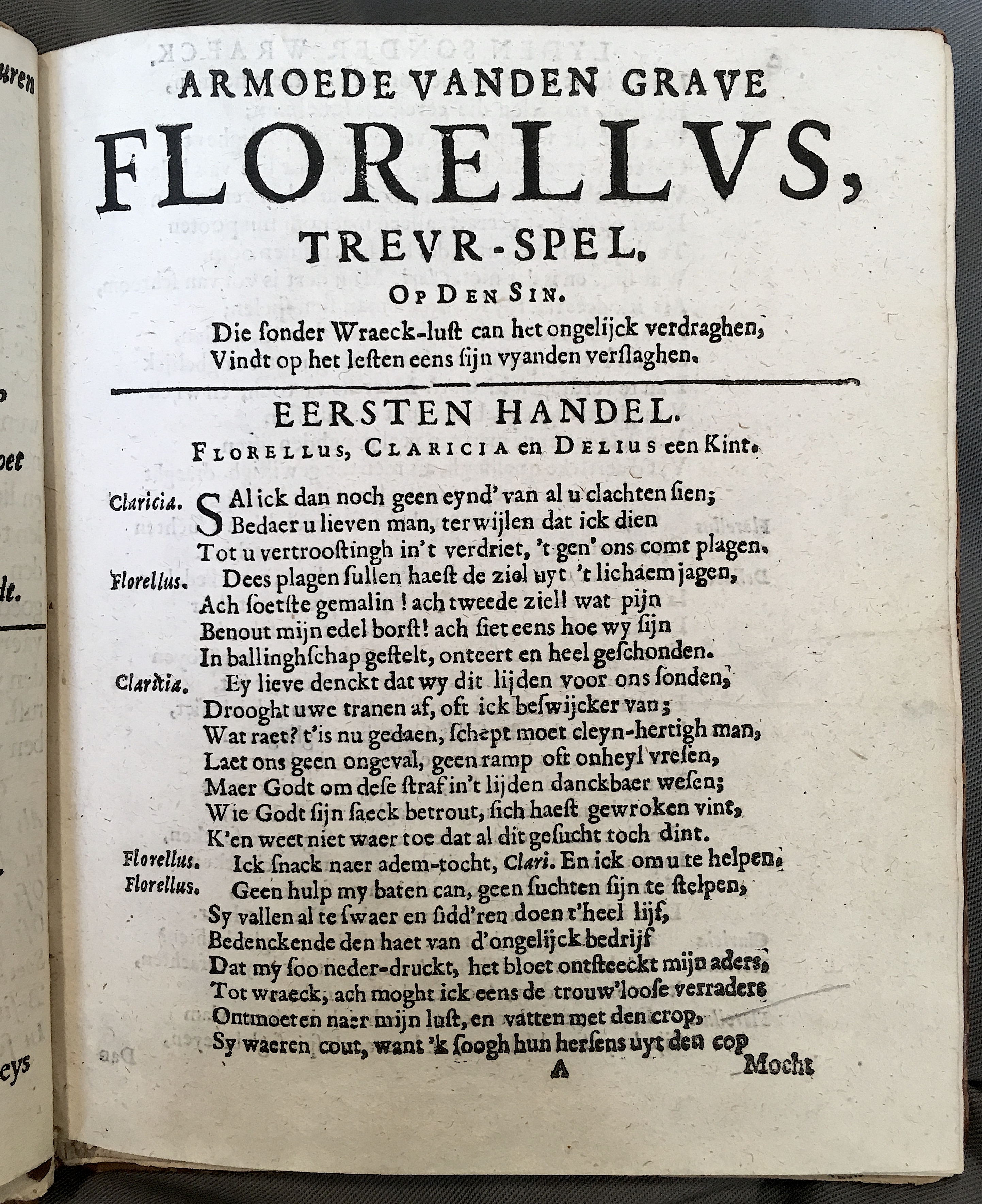 BieFlorellus1671p01.jpg