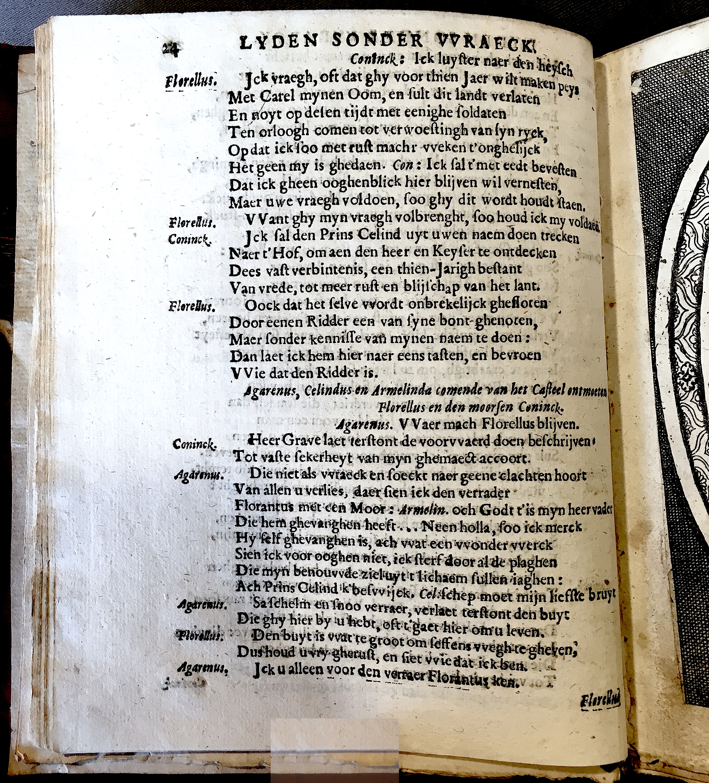 BieFlorellus1671p24.jpg