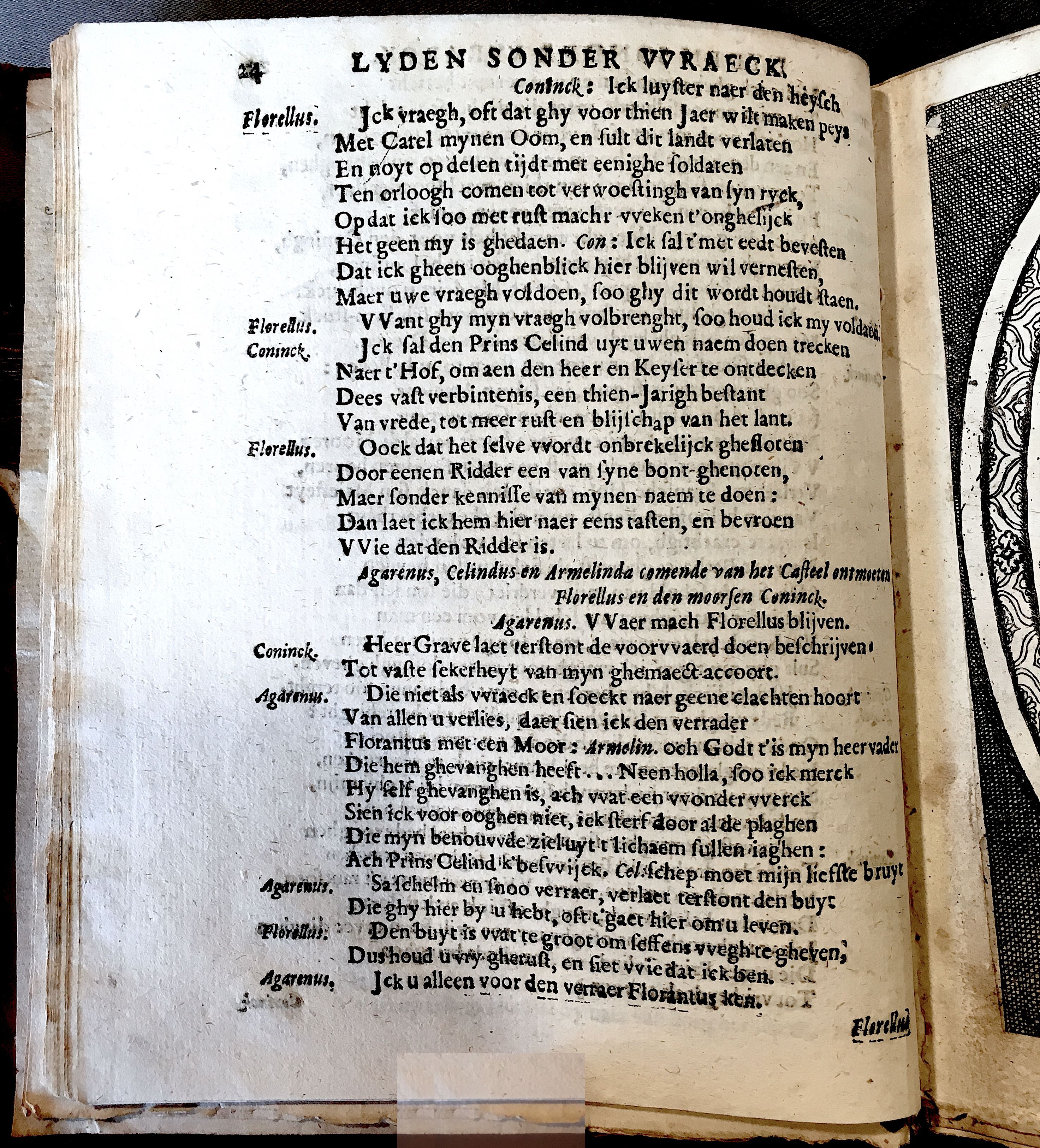 BieFlorellus1671p24