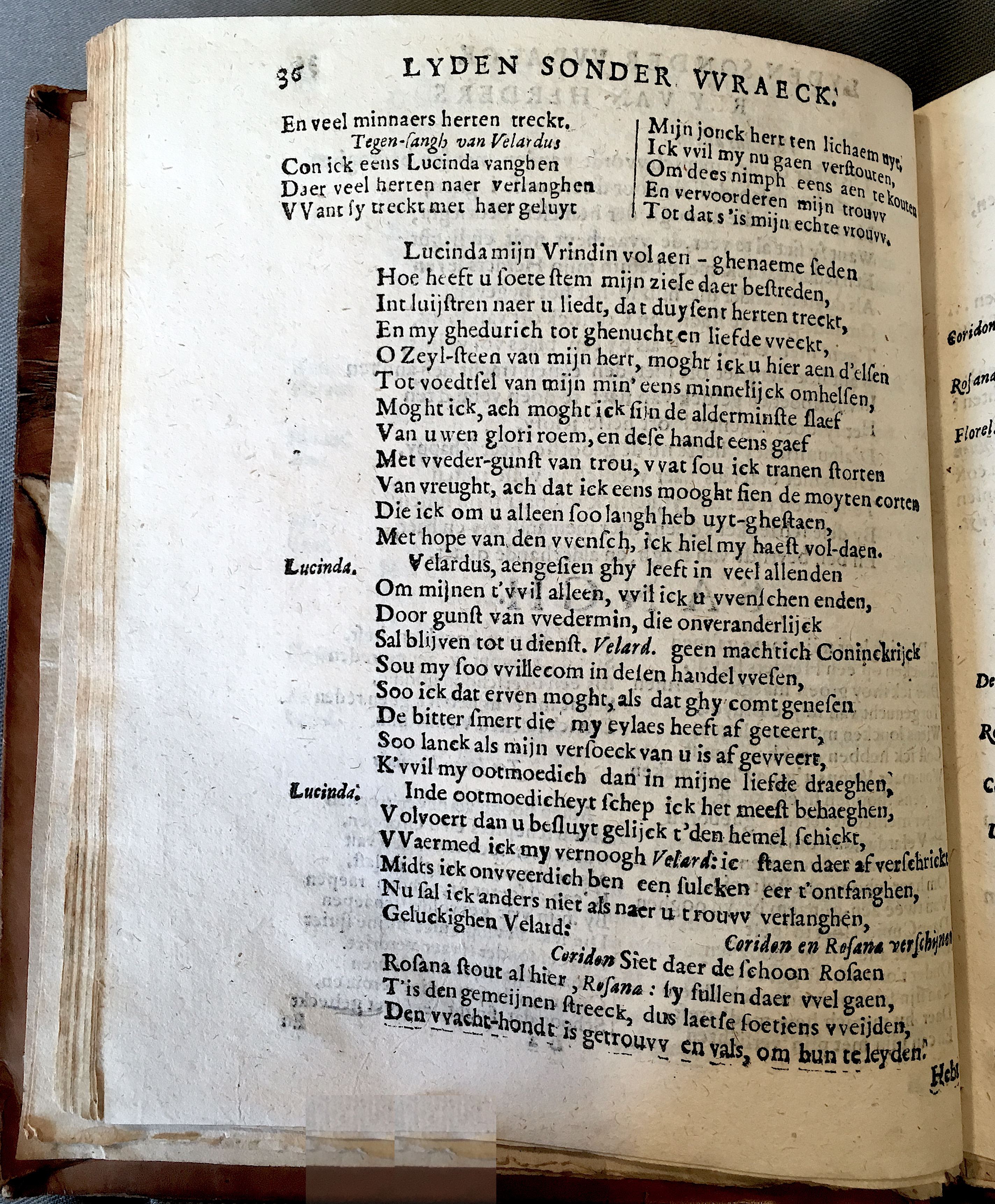 BieFlorellus1671p36