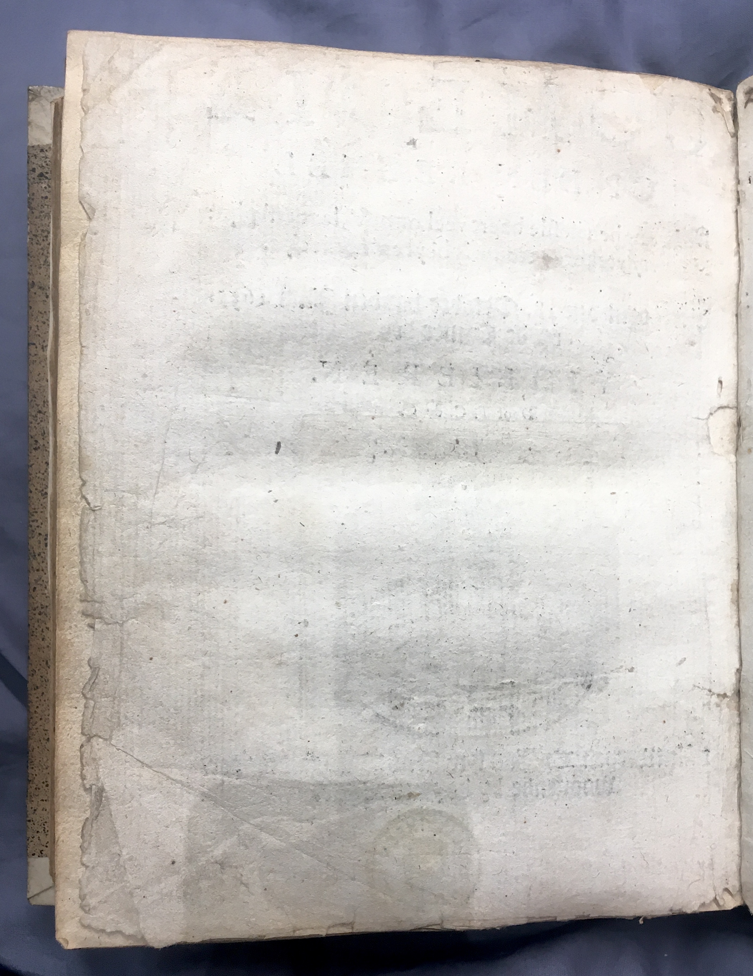 DeConinckLiefde1635p02.jpg