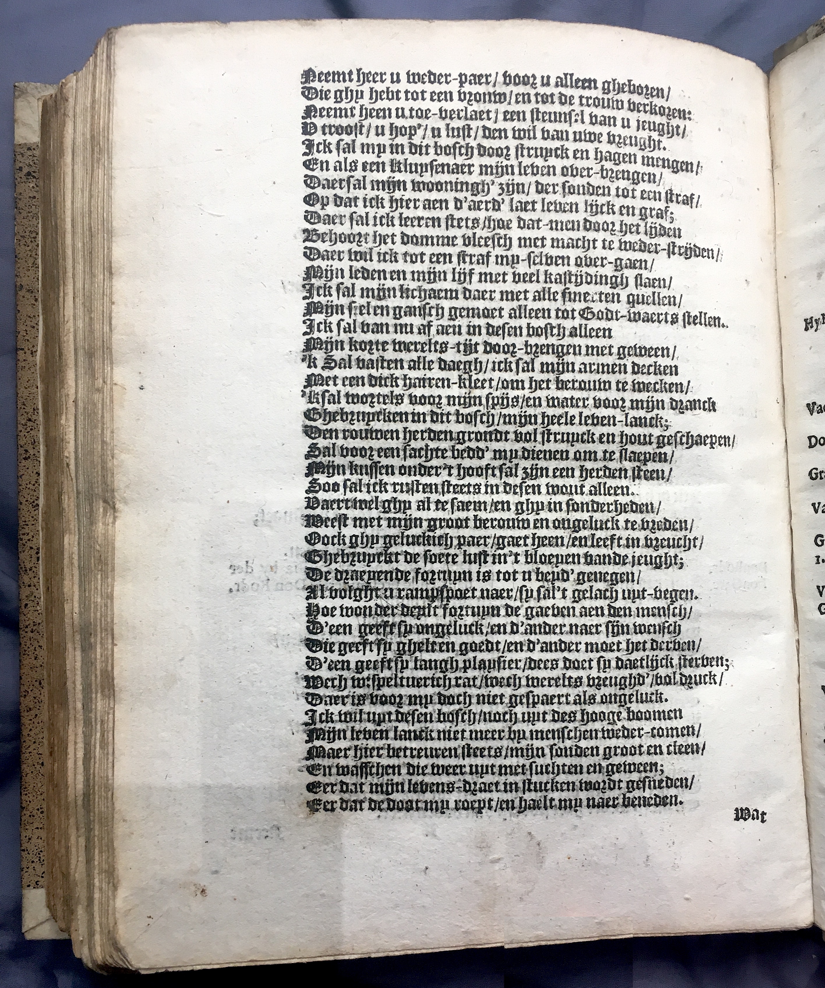 DeConinckLiefde1635p82.jpg