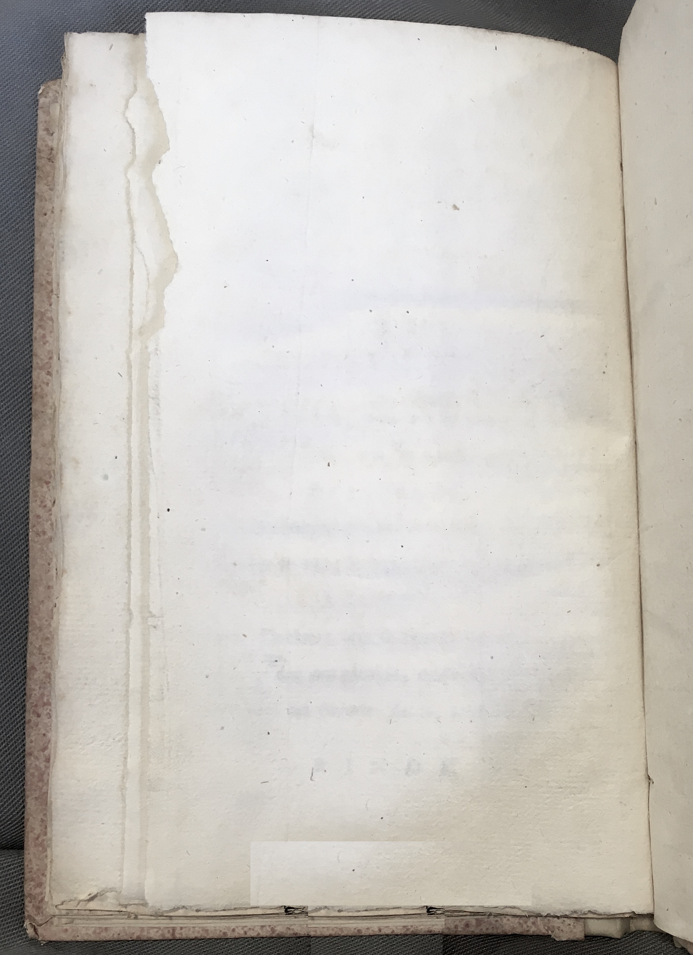 DemokritophilusInenting1768p64