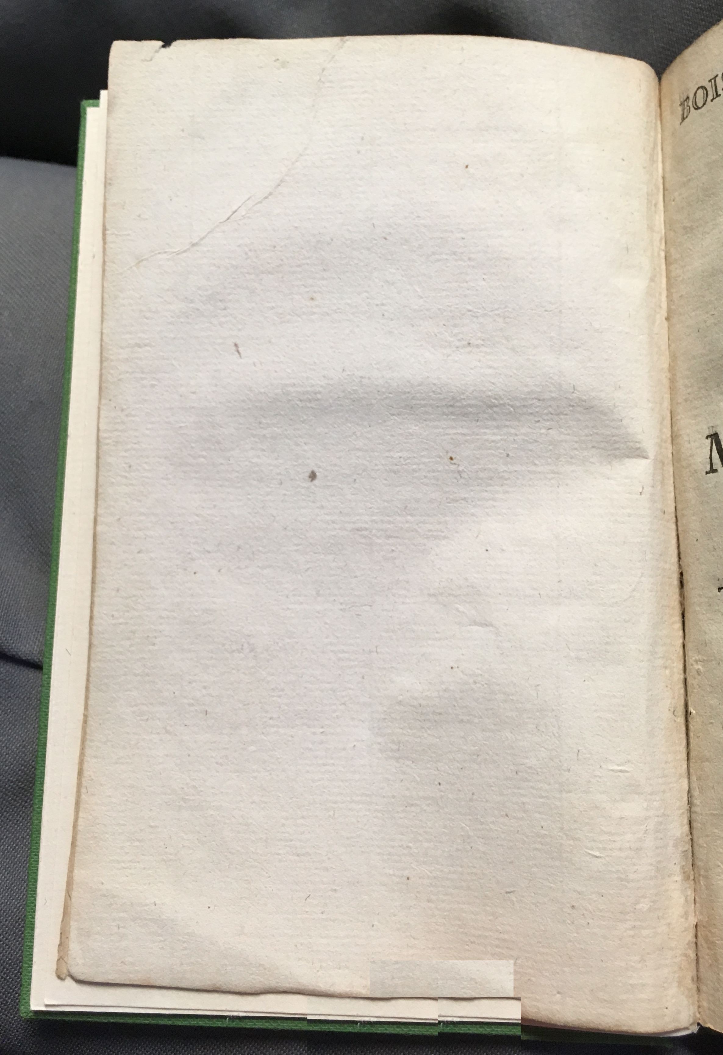 DronkenBrechtje1715p44
