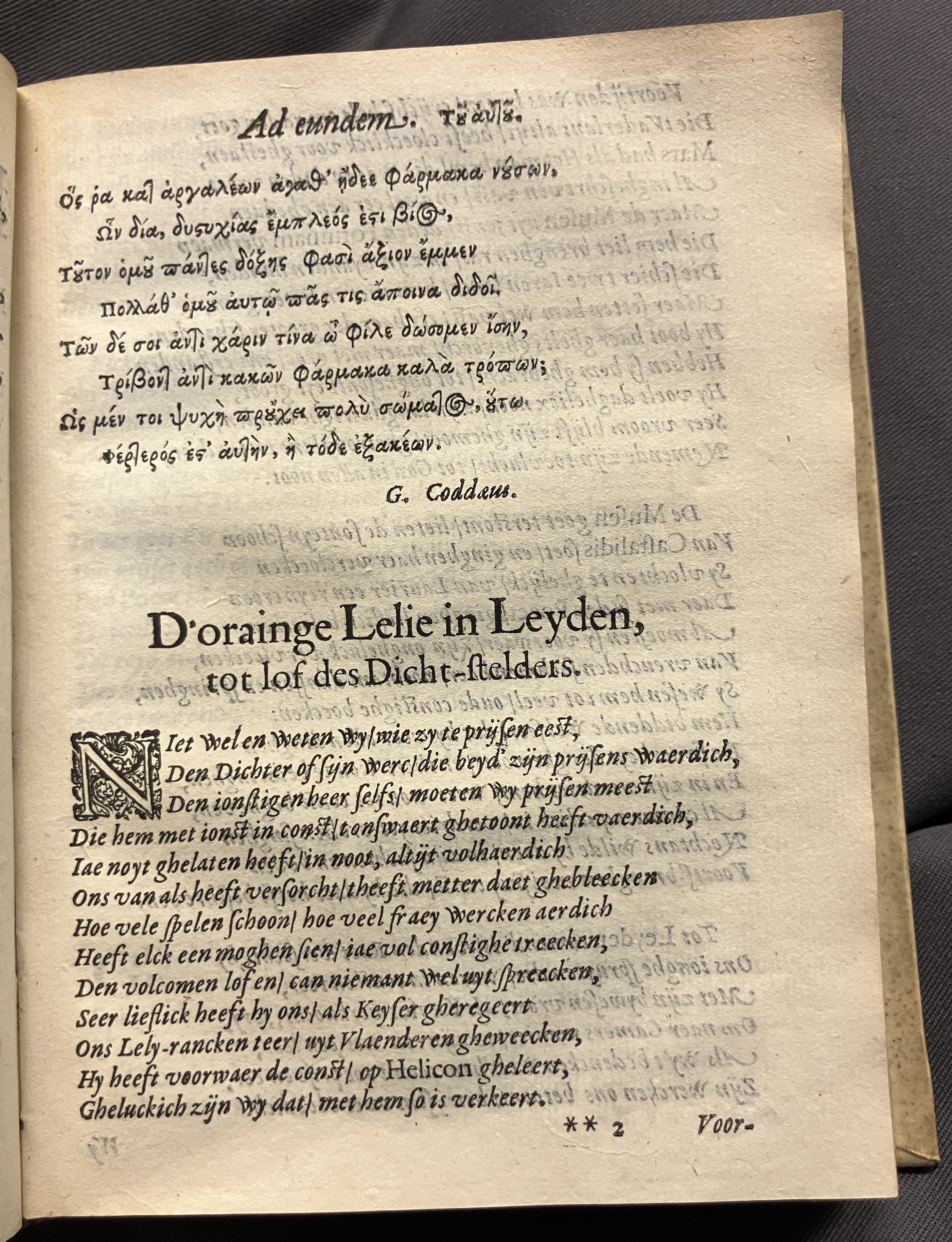 DuymSpiegelboeckVoorwerk1600p11