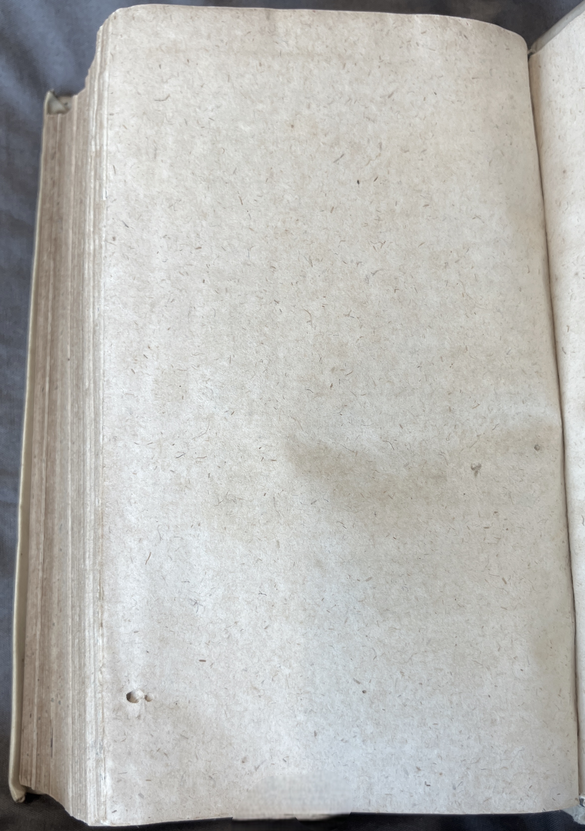 CaspariusAuriacus1599p48.jpg