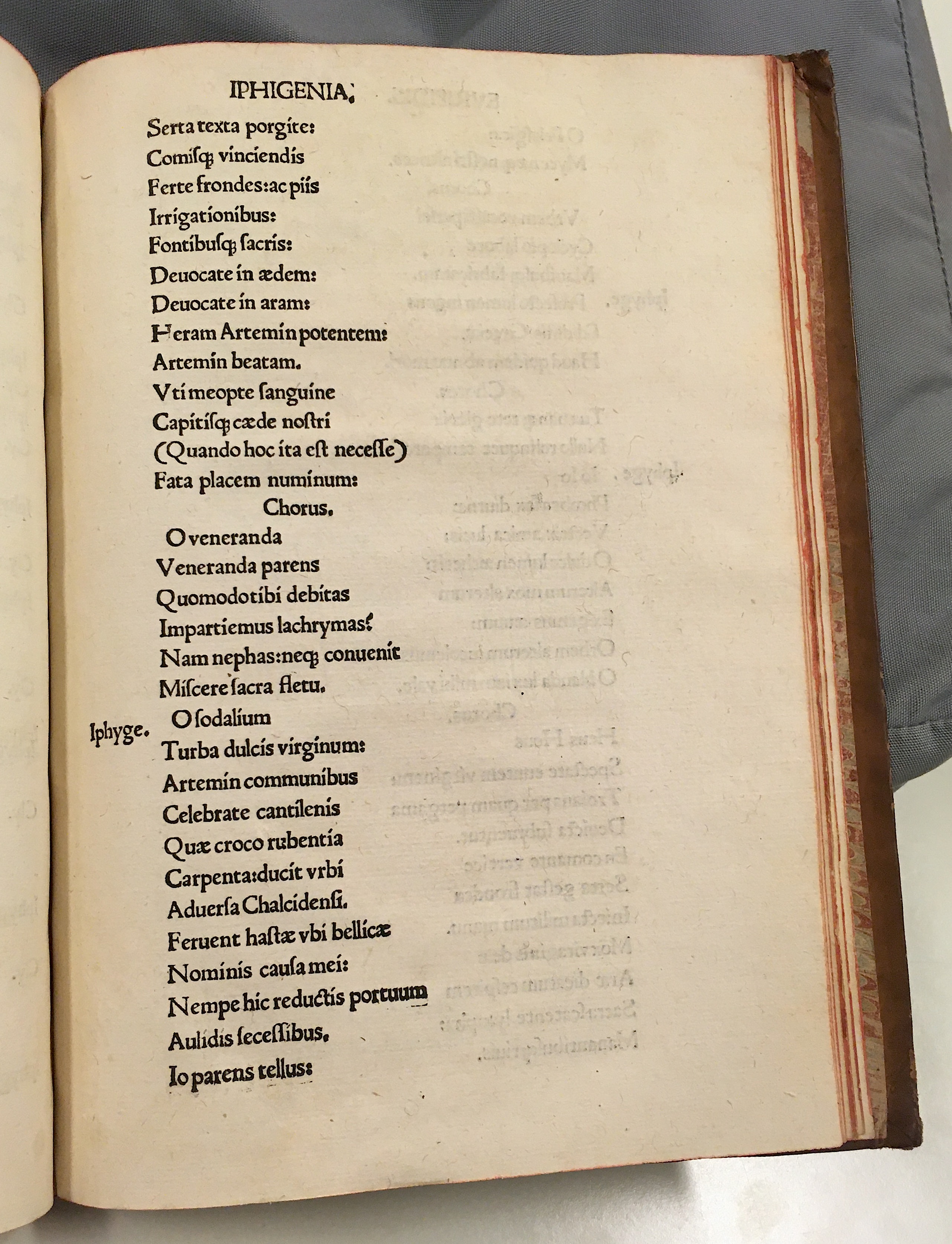 ErasmusEuripides1506p123.jpg