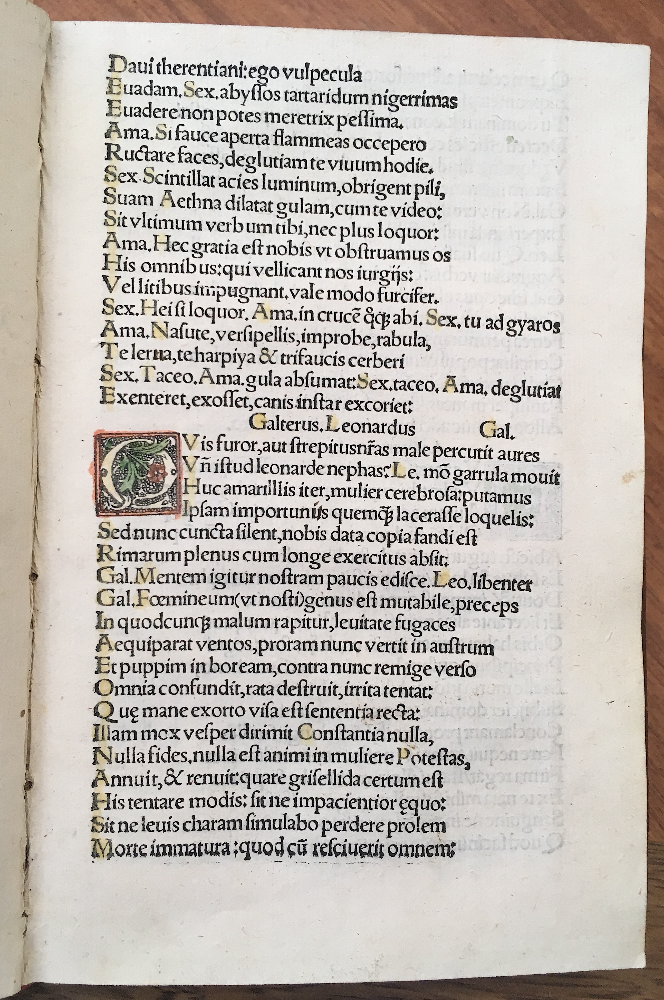 Grisellis1519p031.jpg