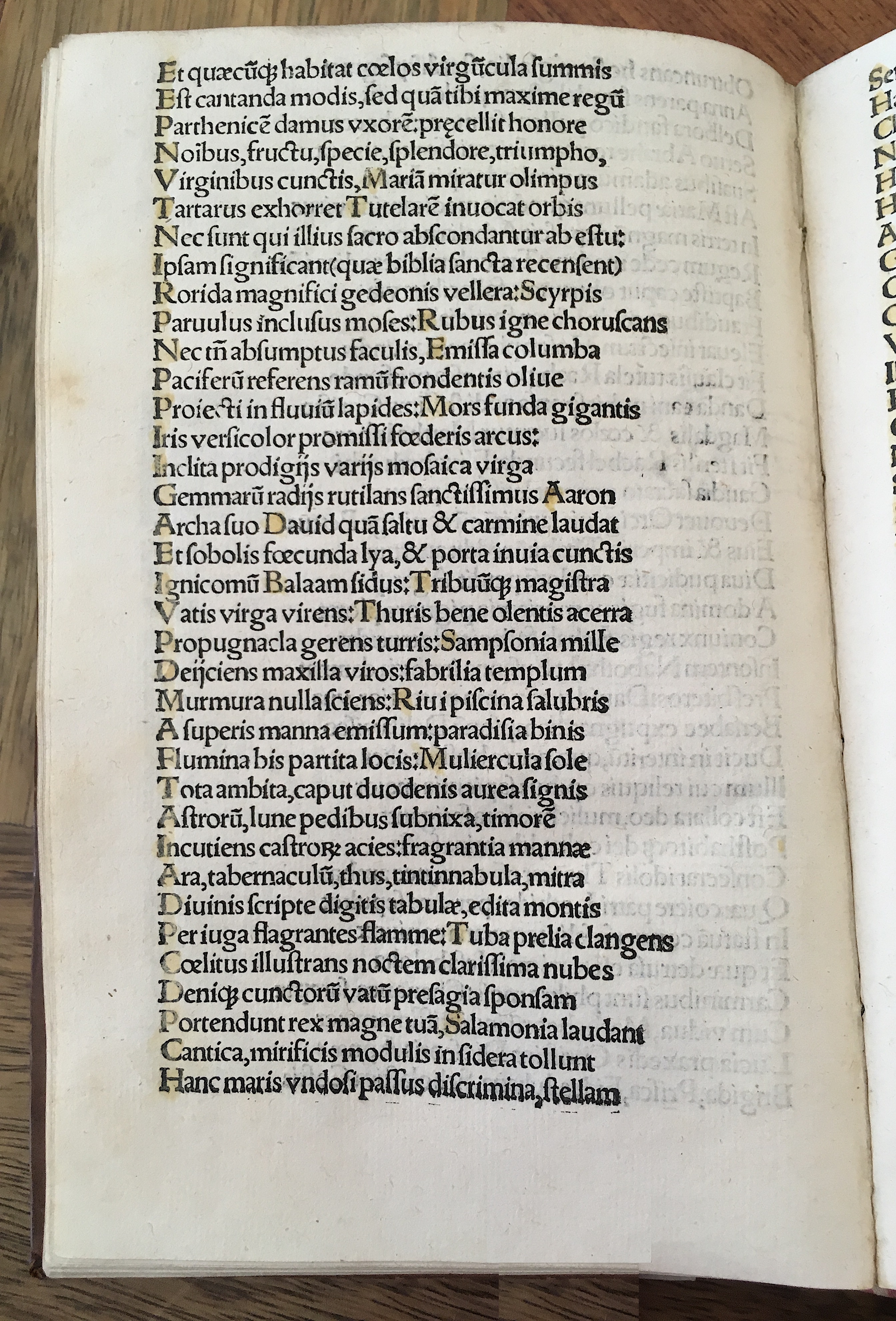 Grisellis1519p104