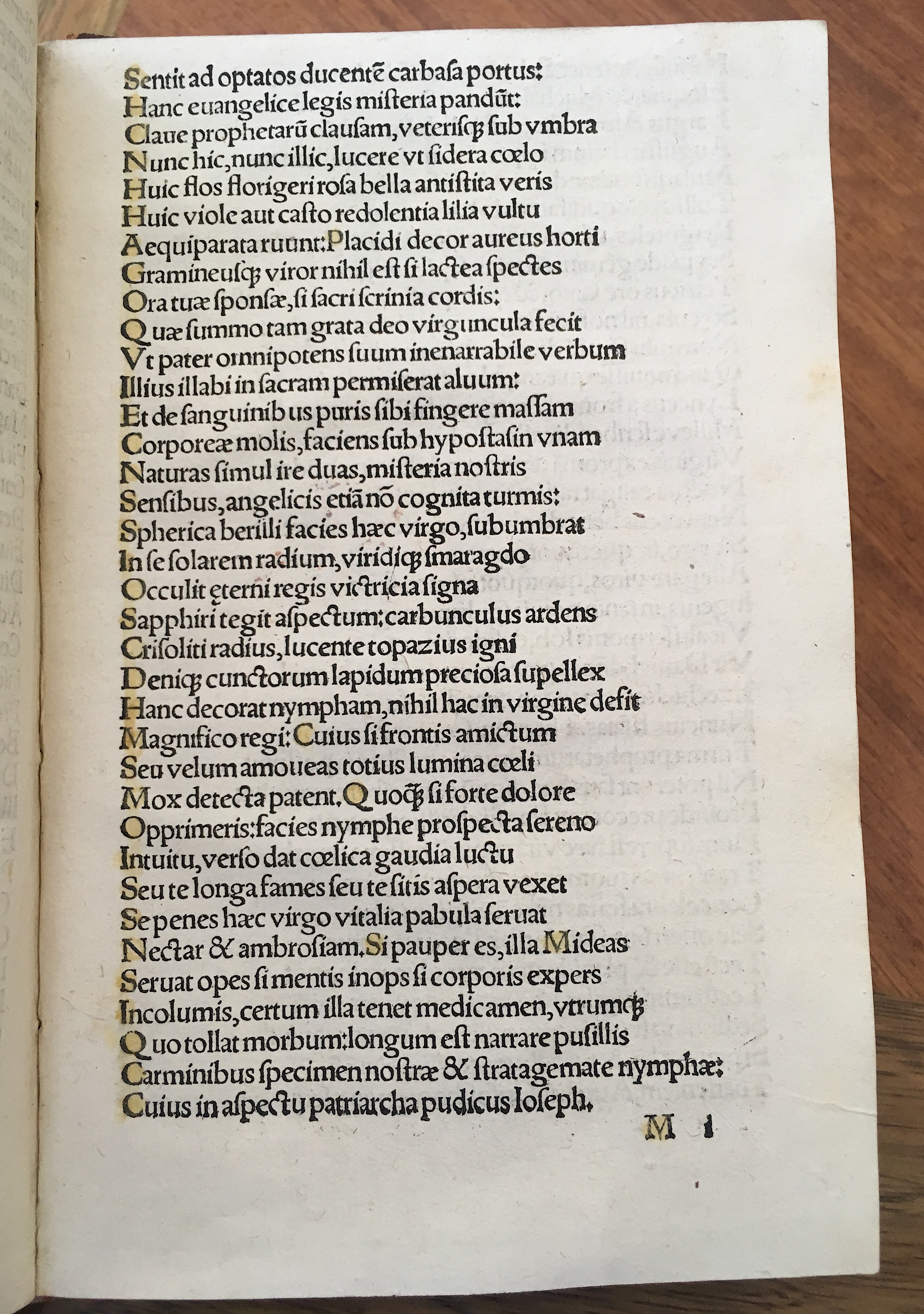 Grisellis1519p105.jpg