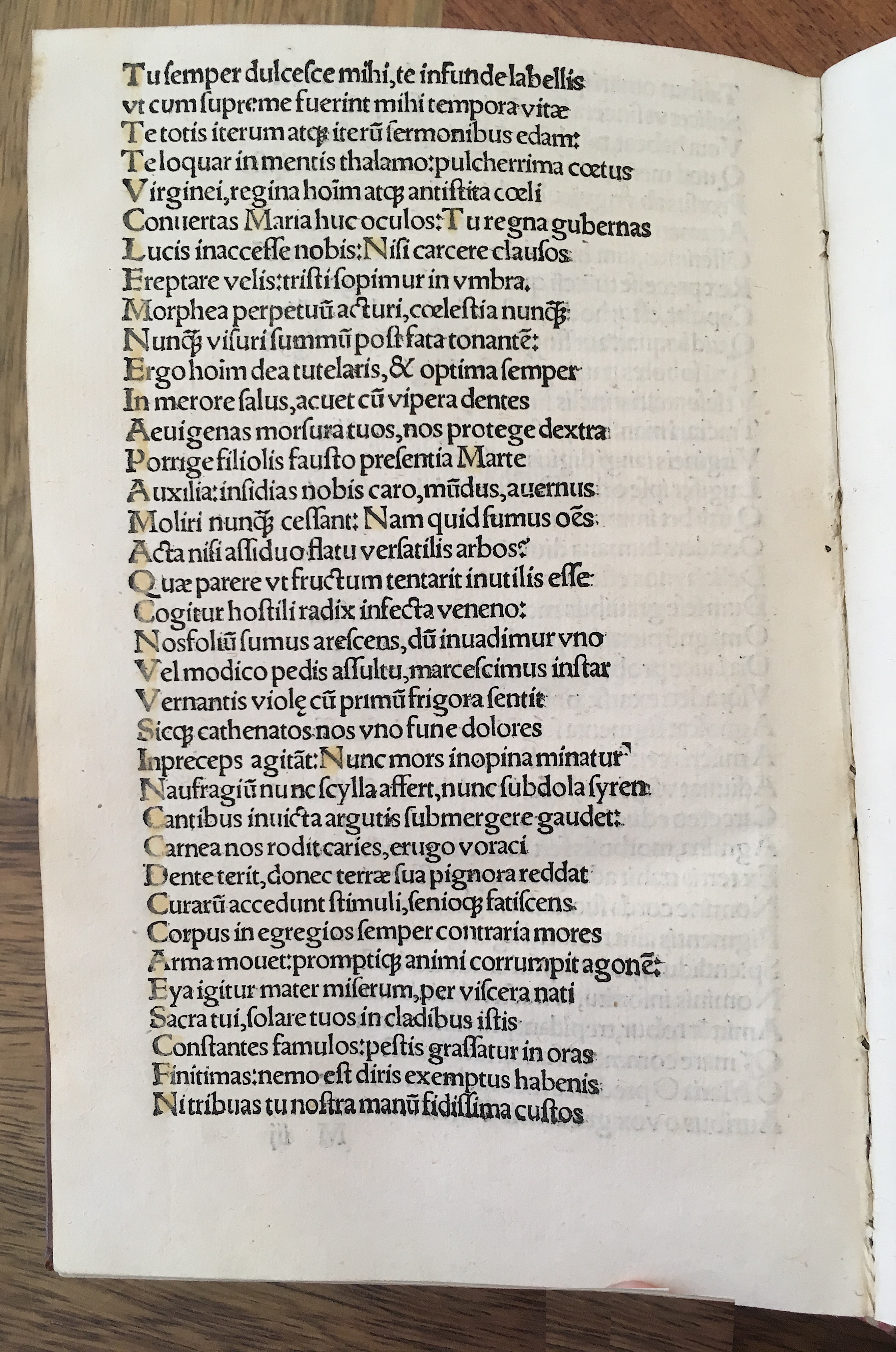 Grisellis1519p110.jpg