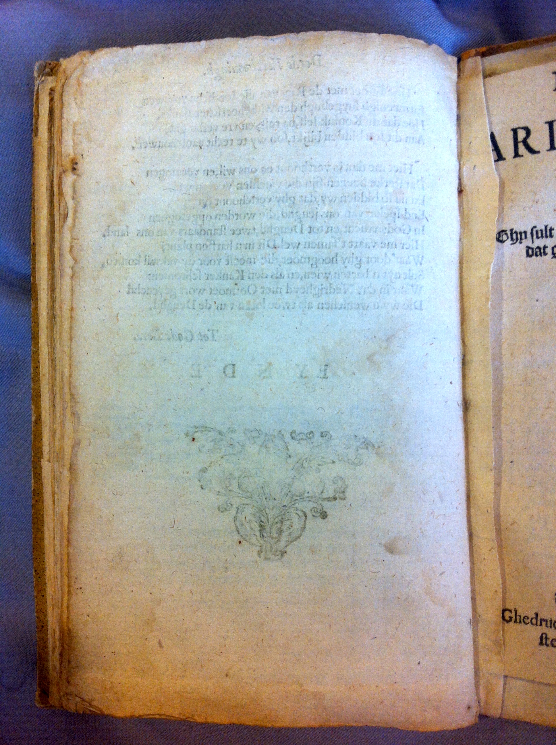 FonteynEsther163846.jpg