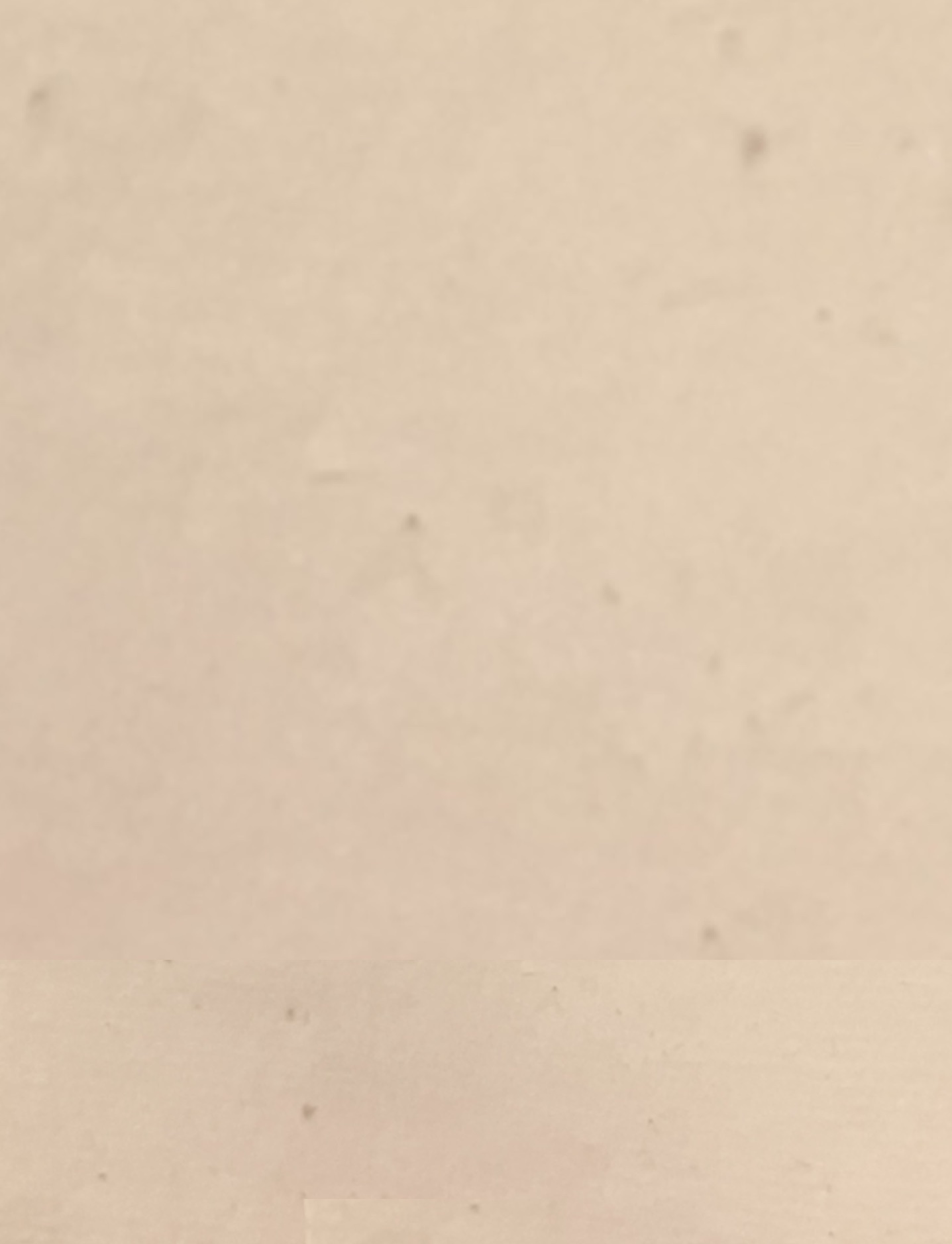 GaignanMariaAntoinetta1793aKBHp48