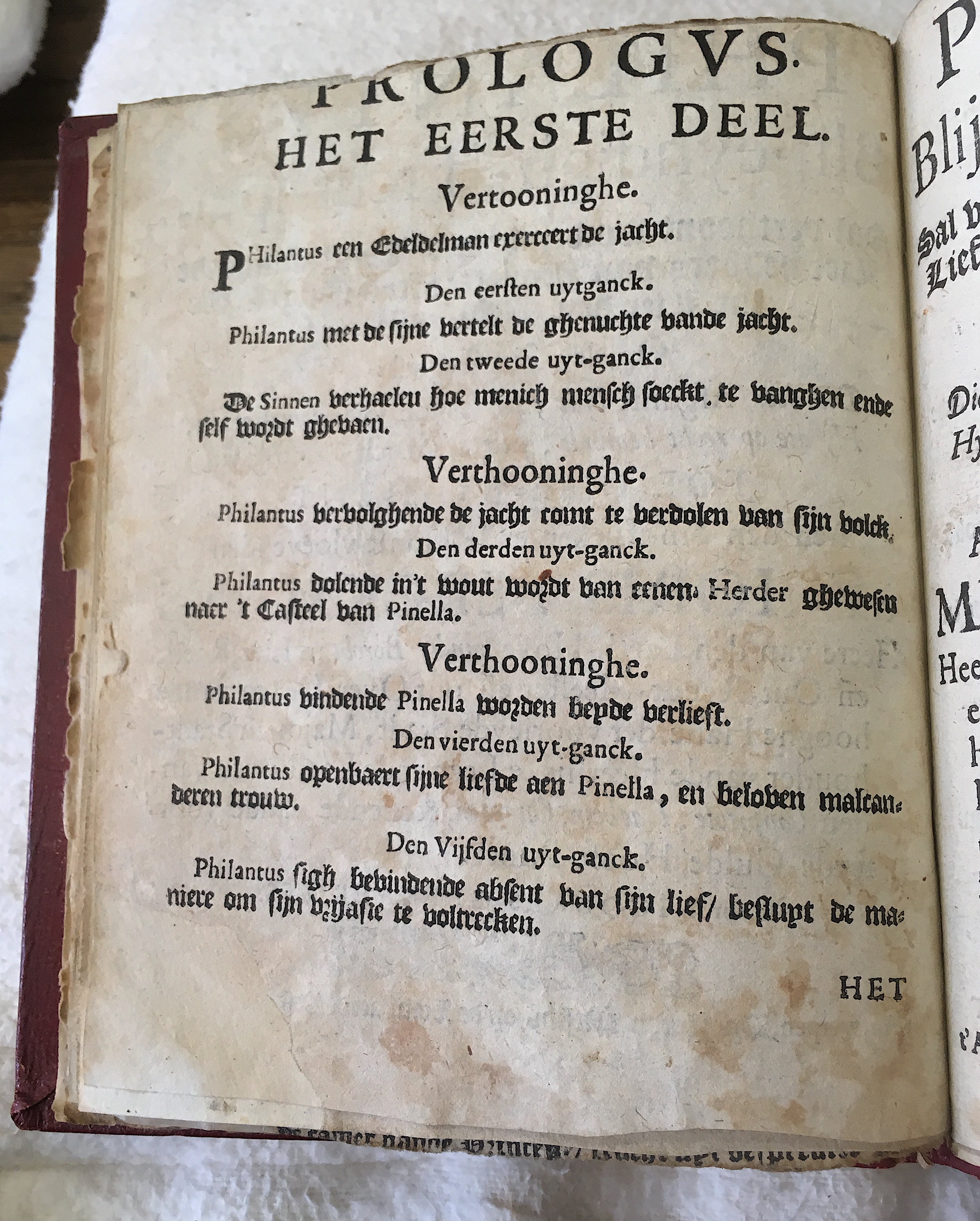 GeeraerdtsPhilantus1659a02.jpg