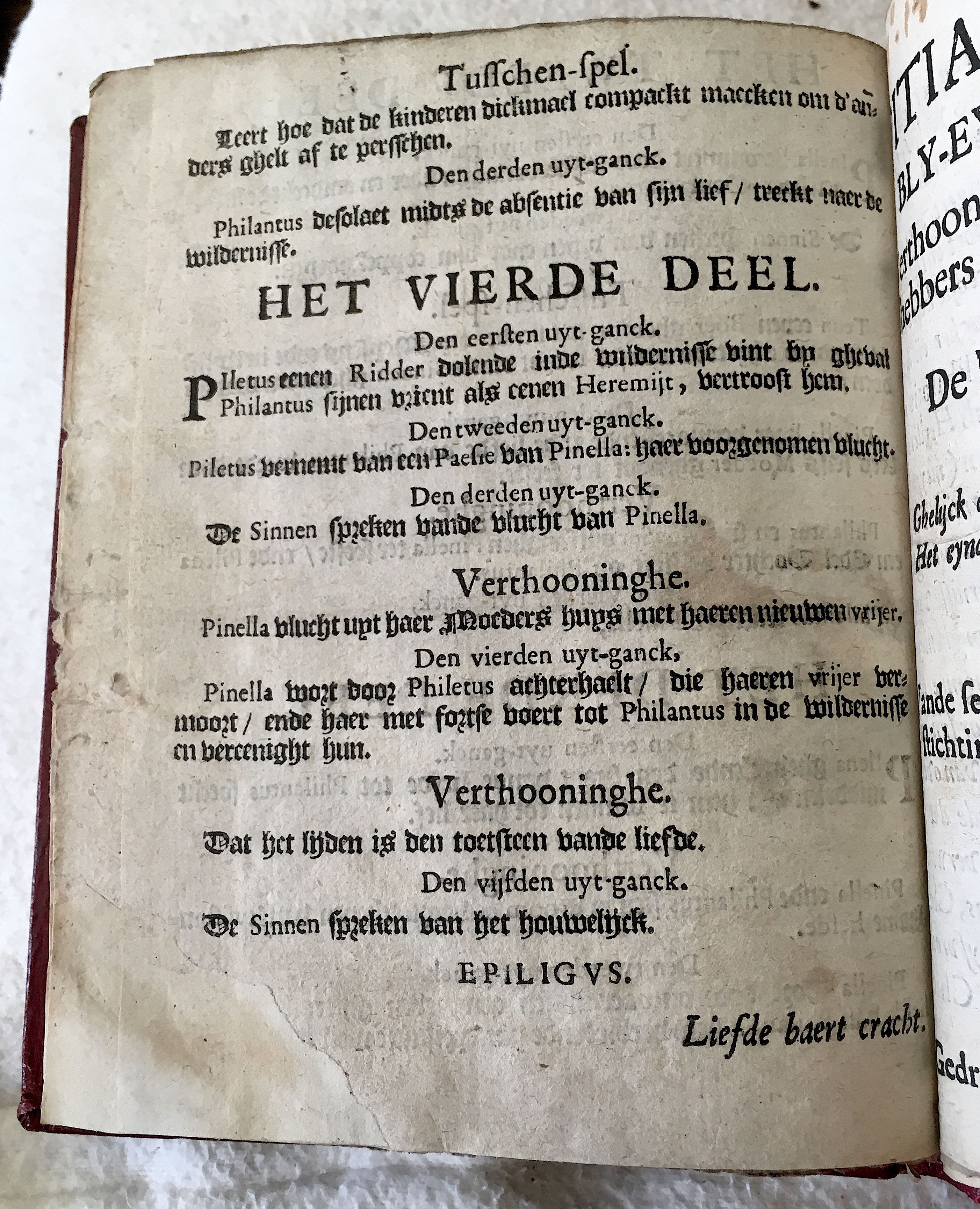 GeeraerdtsPhilantus1659a04