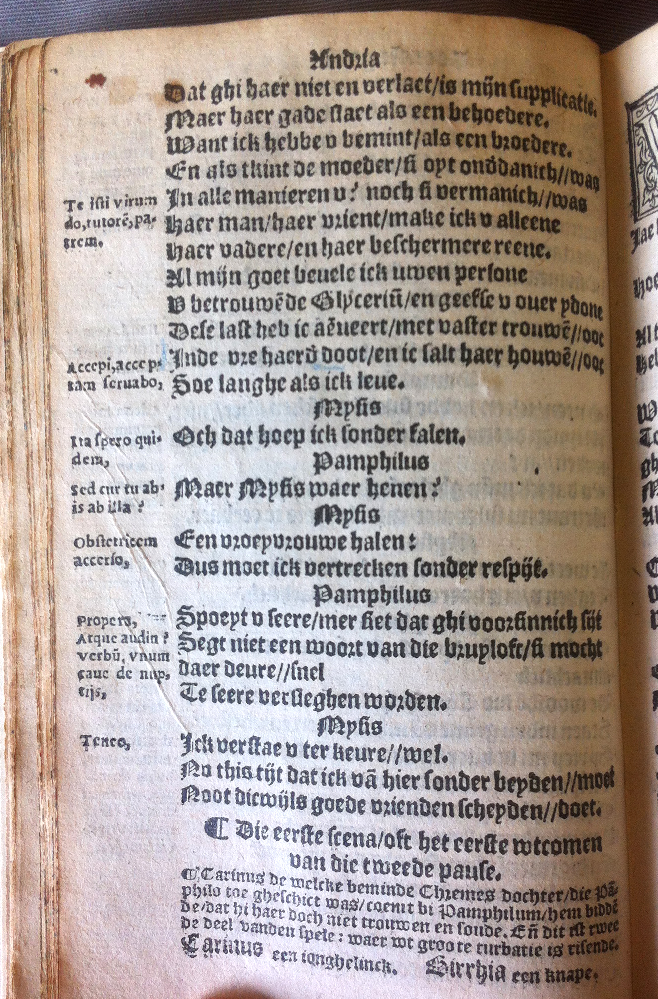 TerentiusAndria1555038.jpg