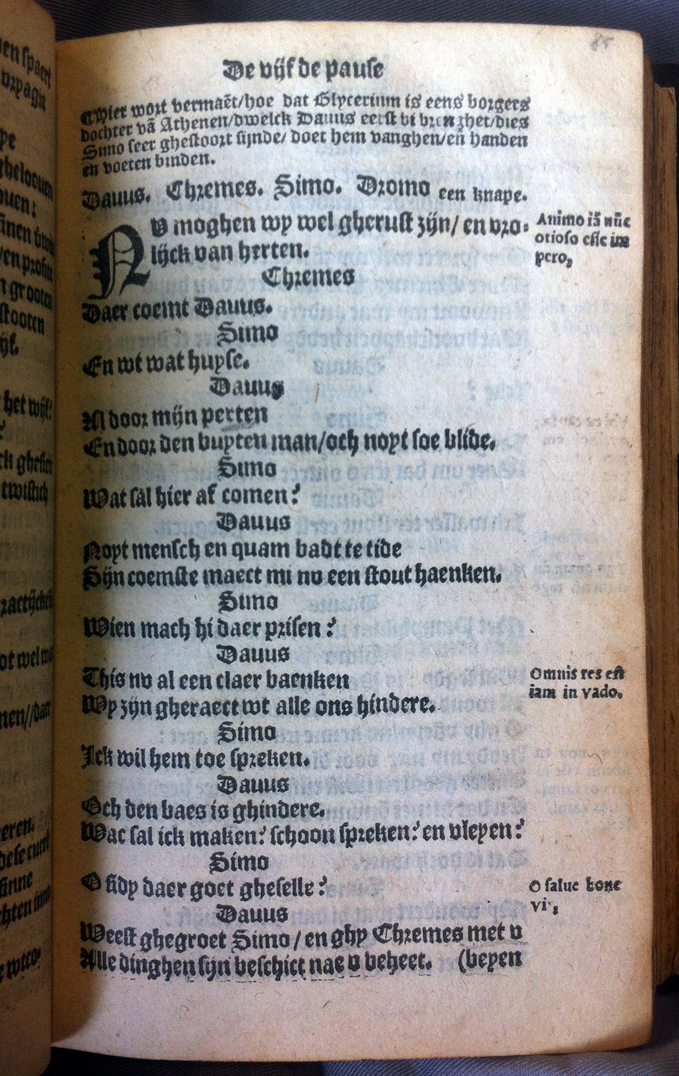 TerentiusAndria1555101.jpg