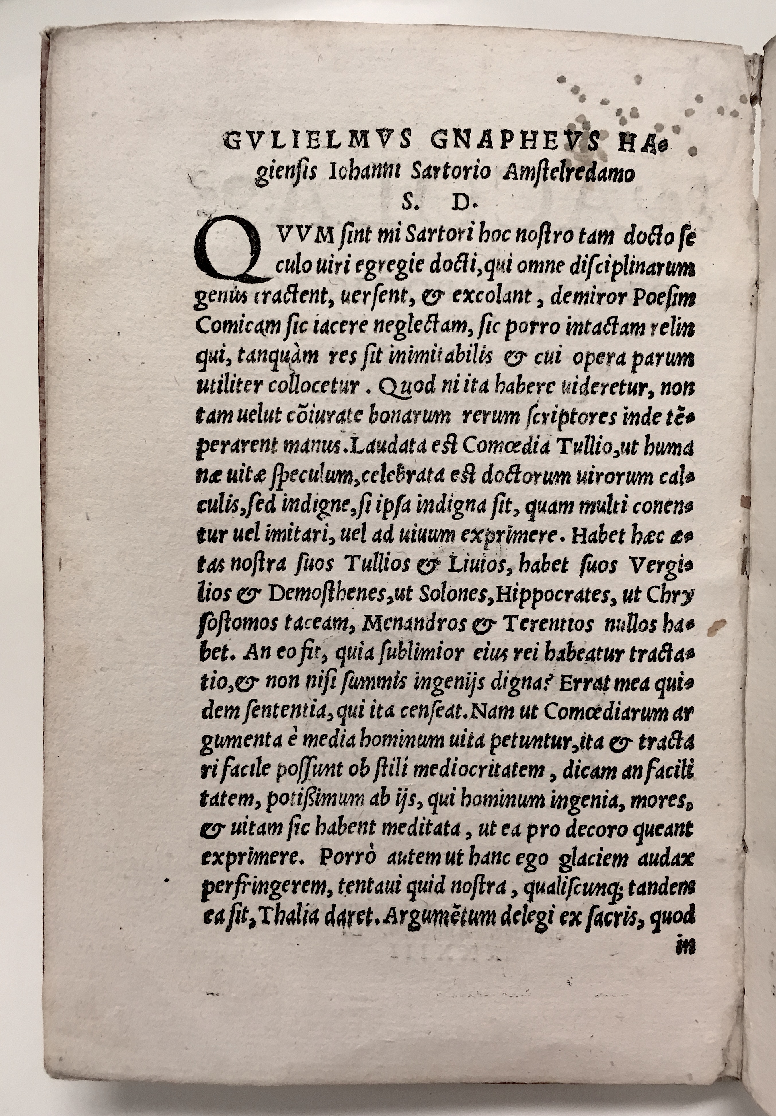 GnapheusAcolastus1533p02.jpg