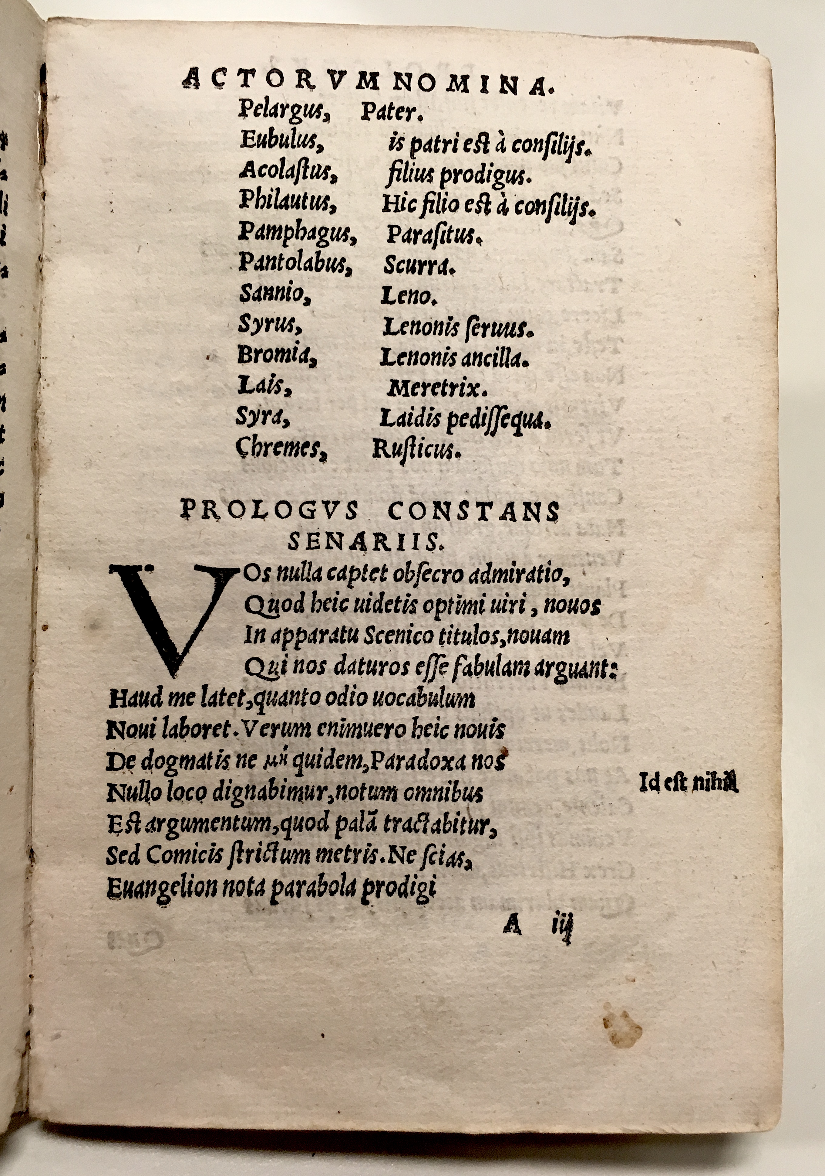 GnapheusAcolastus1533p05.jpg