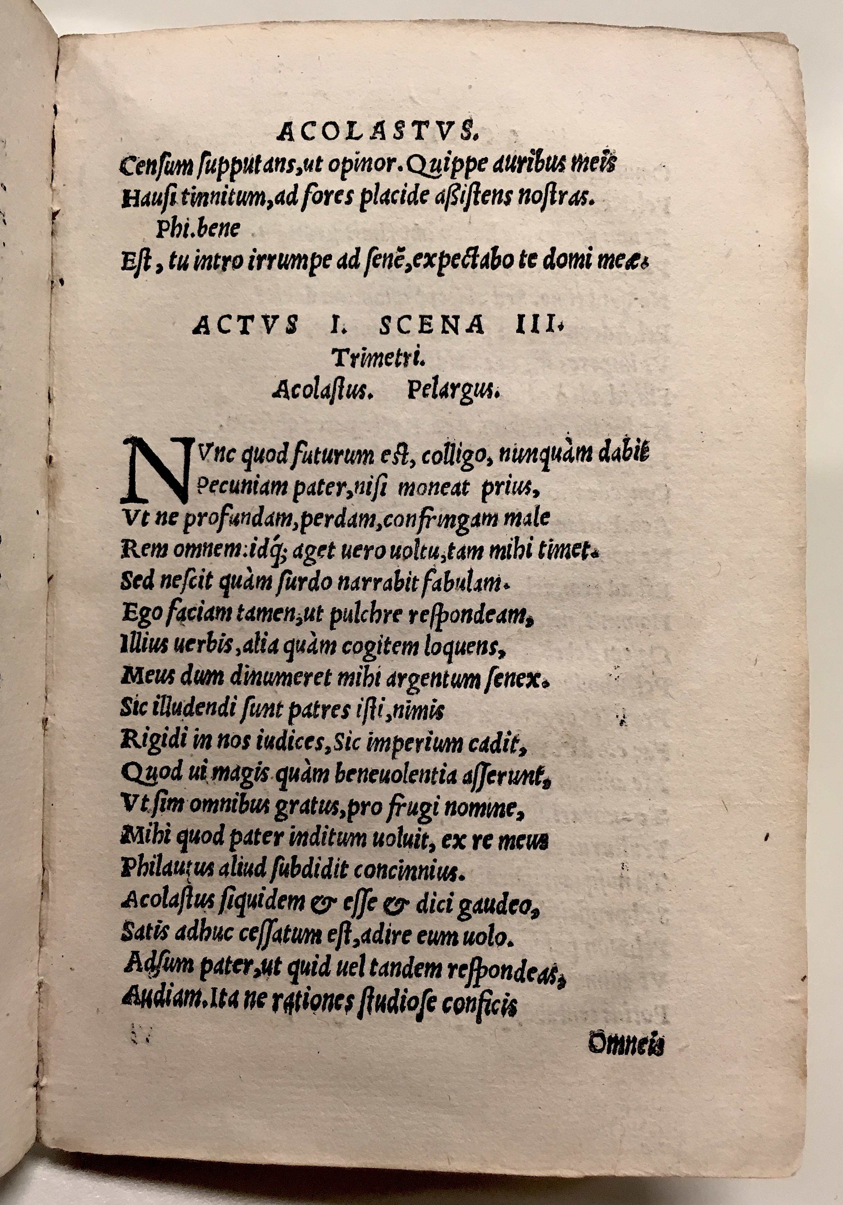 GnapheusAcolastus1533p15.jpg