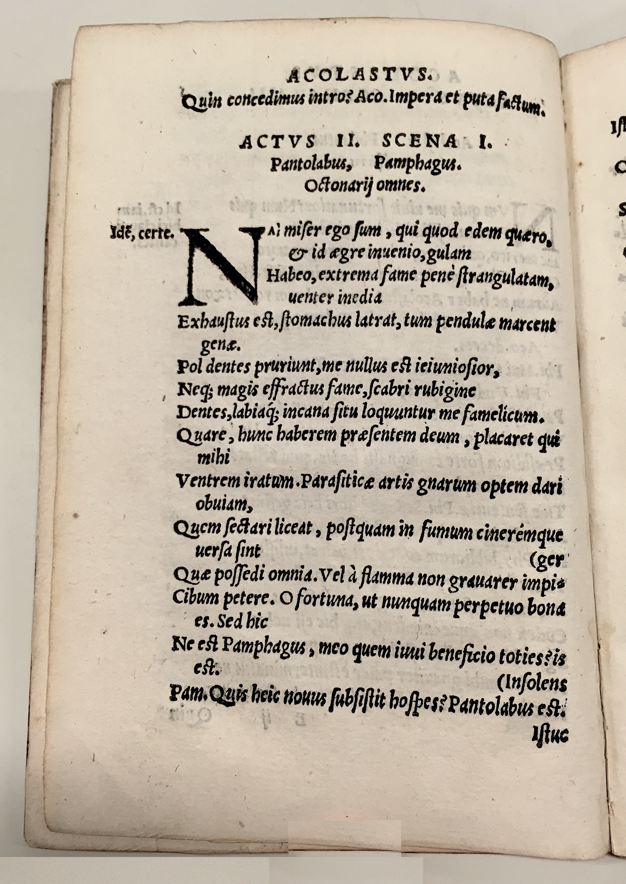 GnapheusAcolastus1533p20.jpg