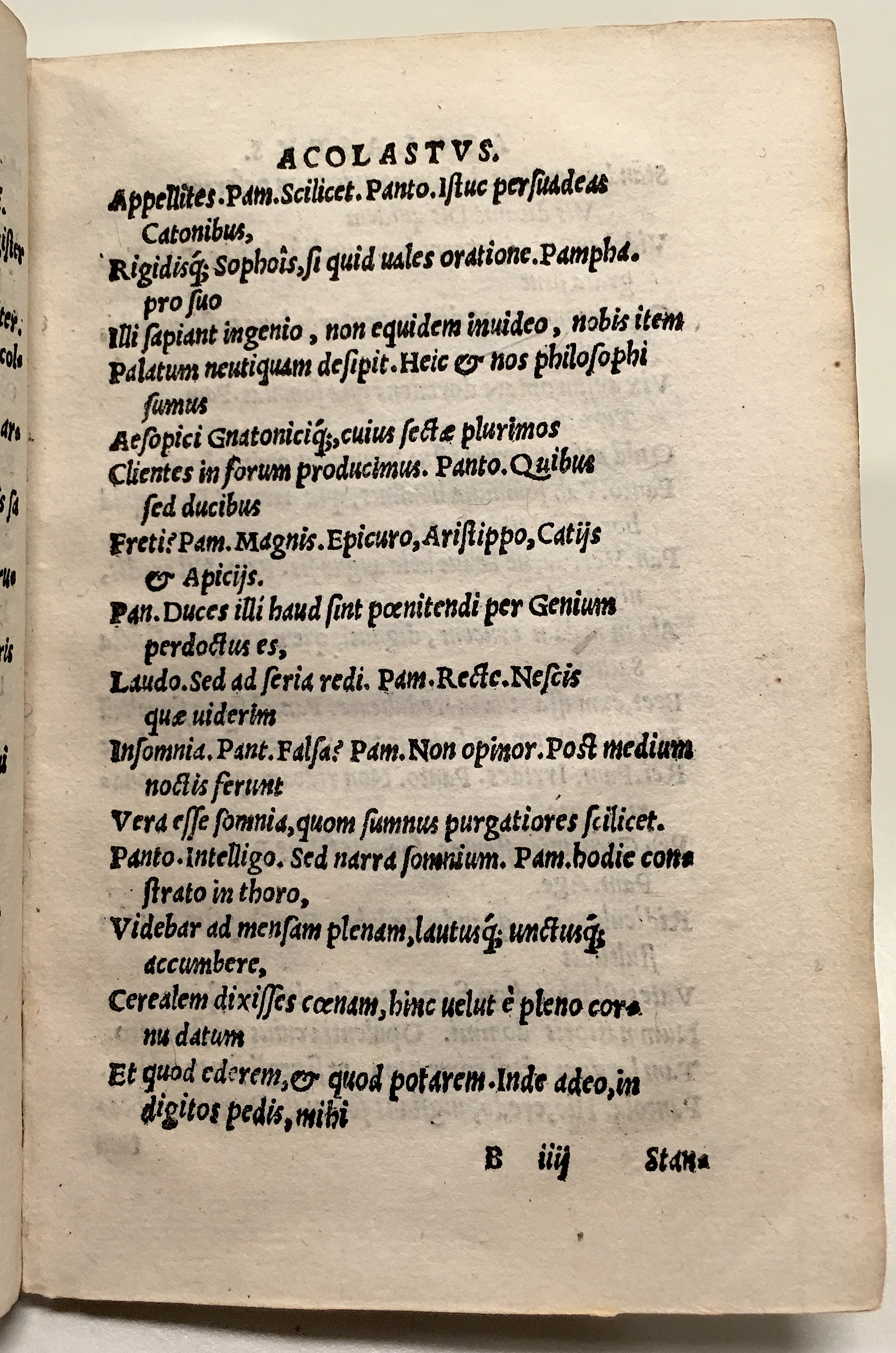 GnapheusAcolastus1533p23.jpg