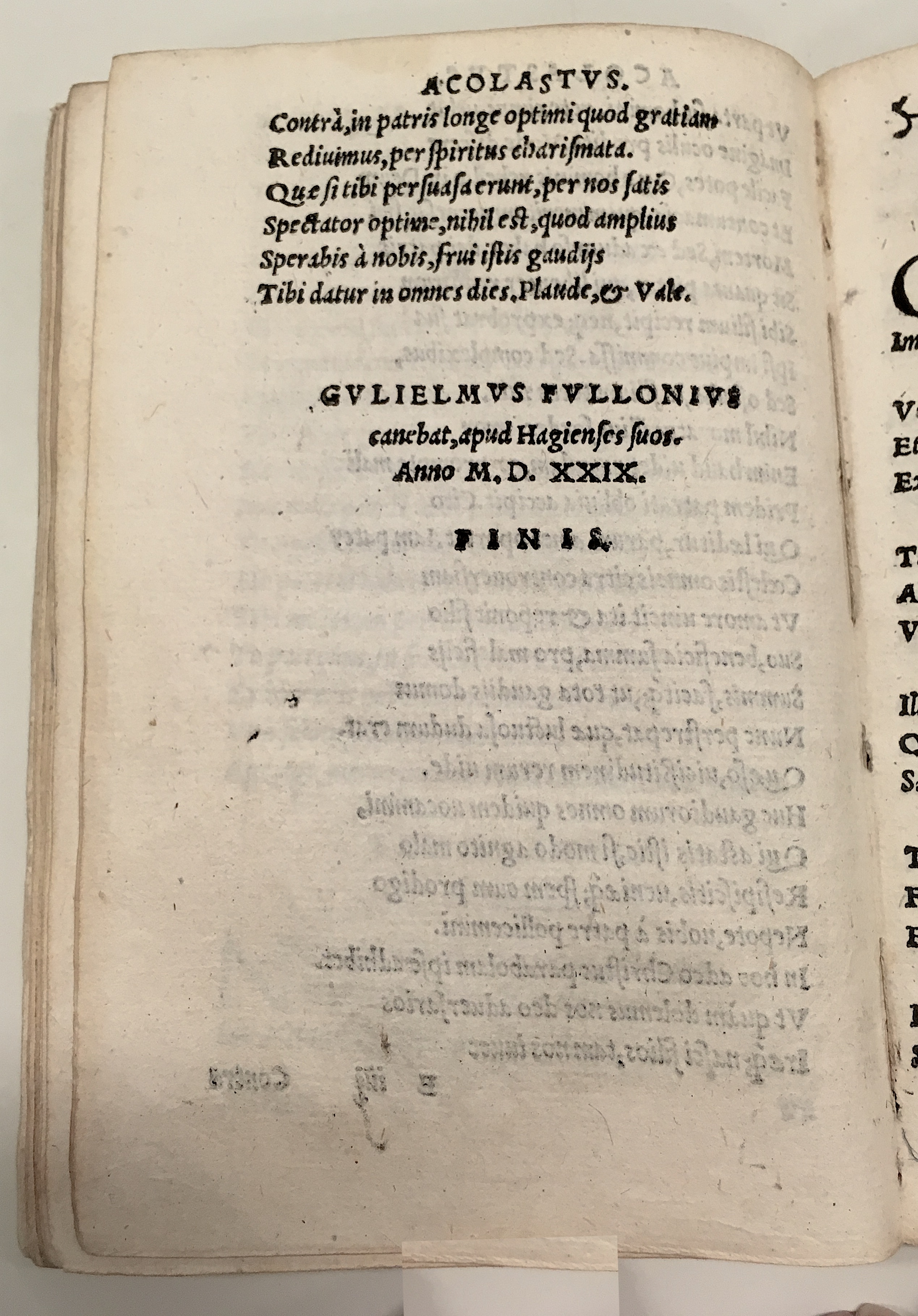 GnapheusAcolastus1533p72.jpg