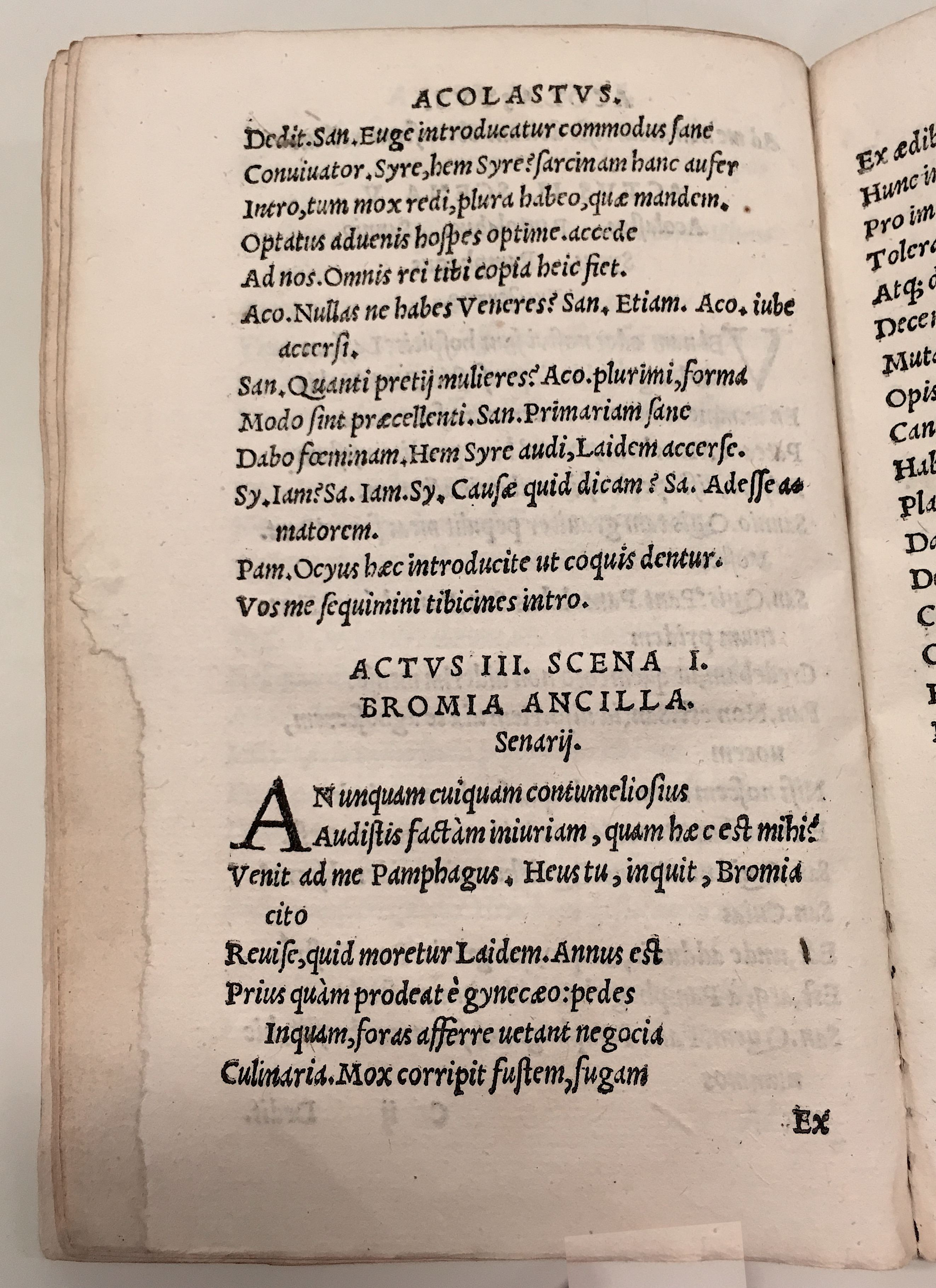 GnapheusAcolastus1533p36