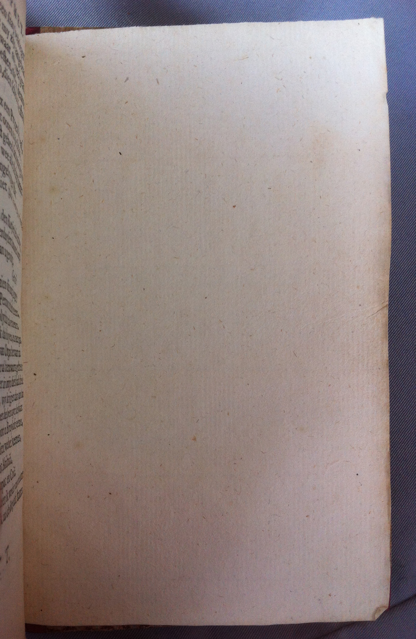 GrieckJaphet165763.jpg
