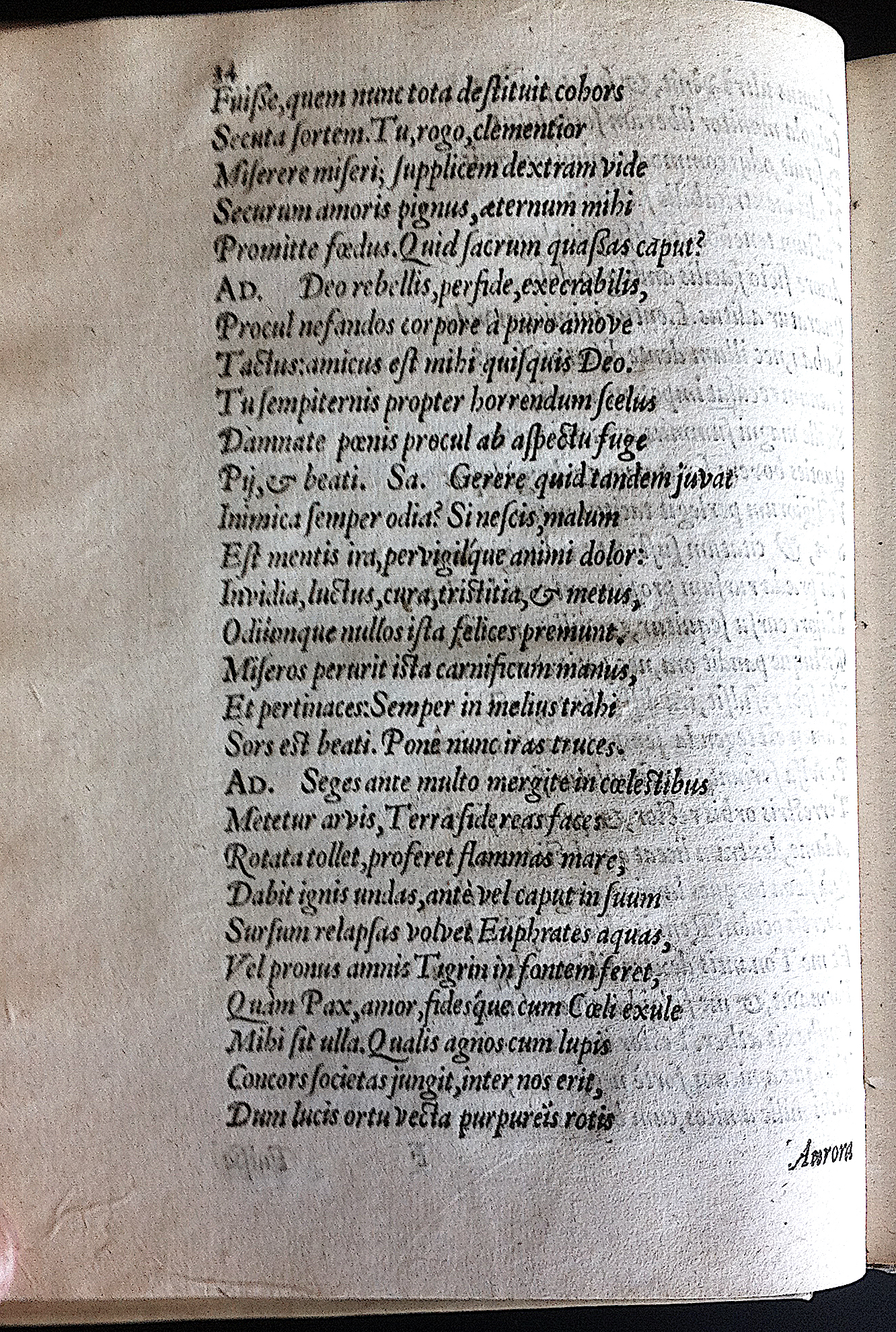 GrotiusAdamus1601p34.jpg