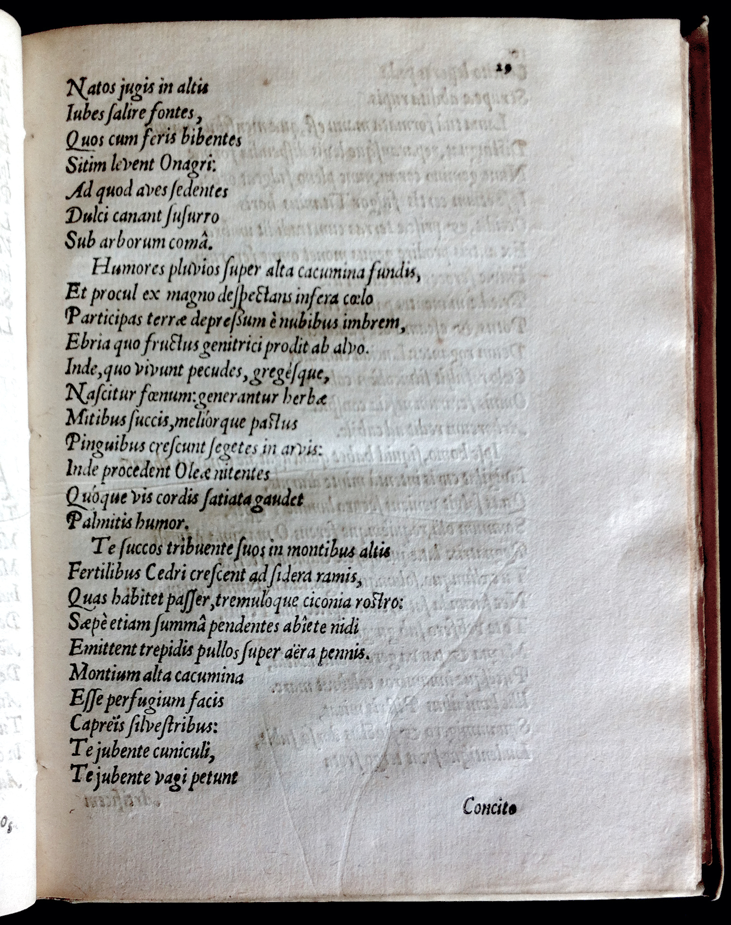 GrotiusAdamus1601p29