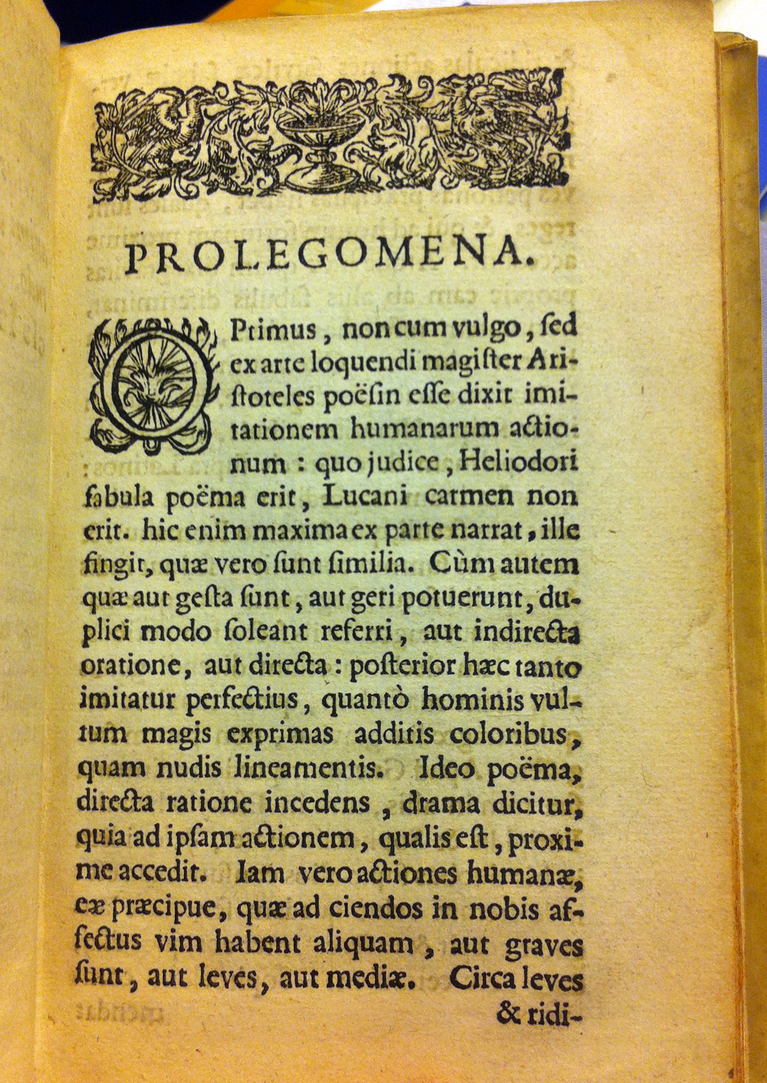 Phoenissae1630a13.jpg