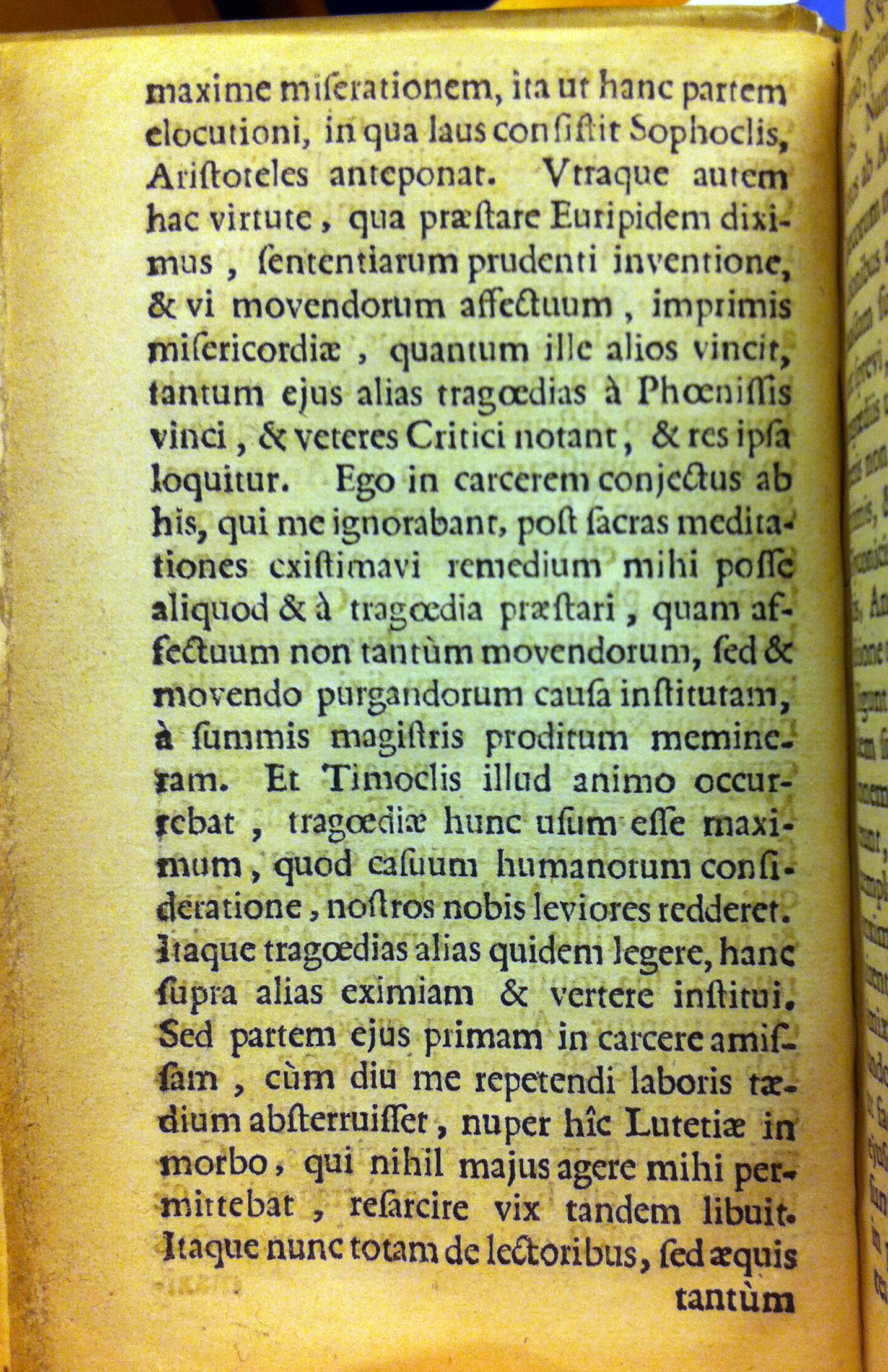 Phoenissae1630a16.jpg