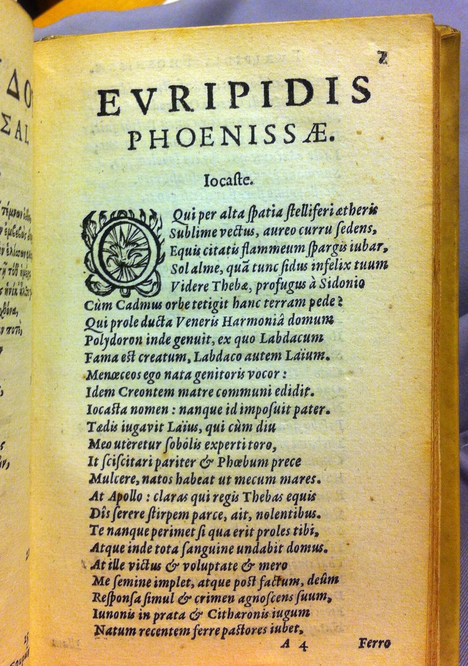 Phoenissae1630p07.jpg