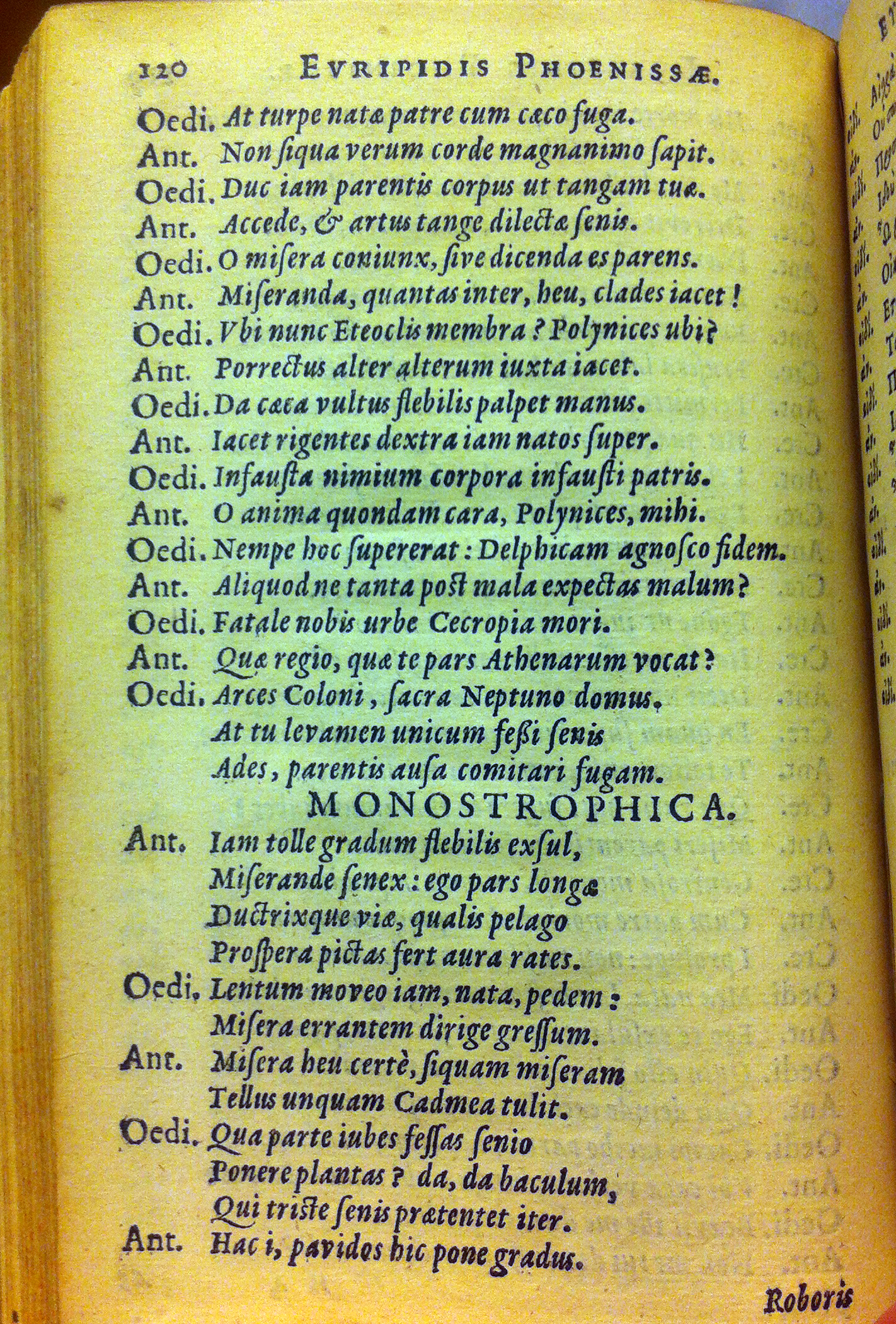 Phoenissae1630p120.jpg