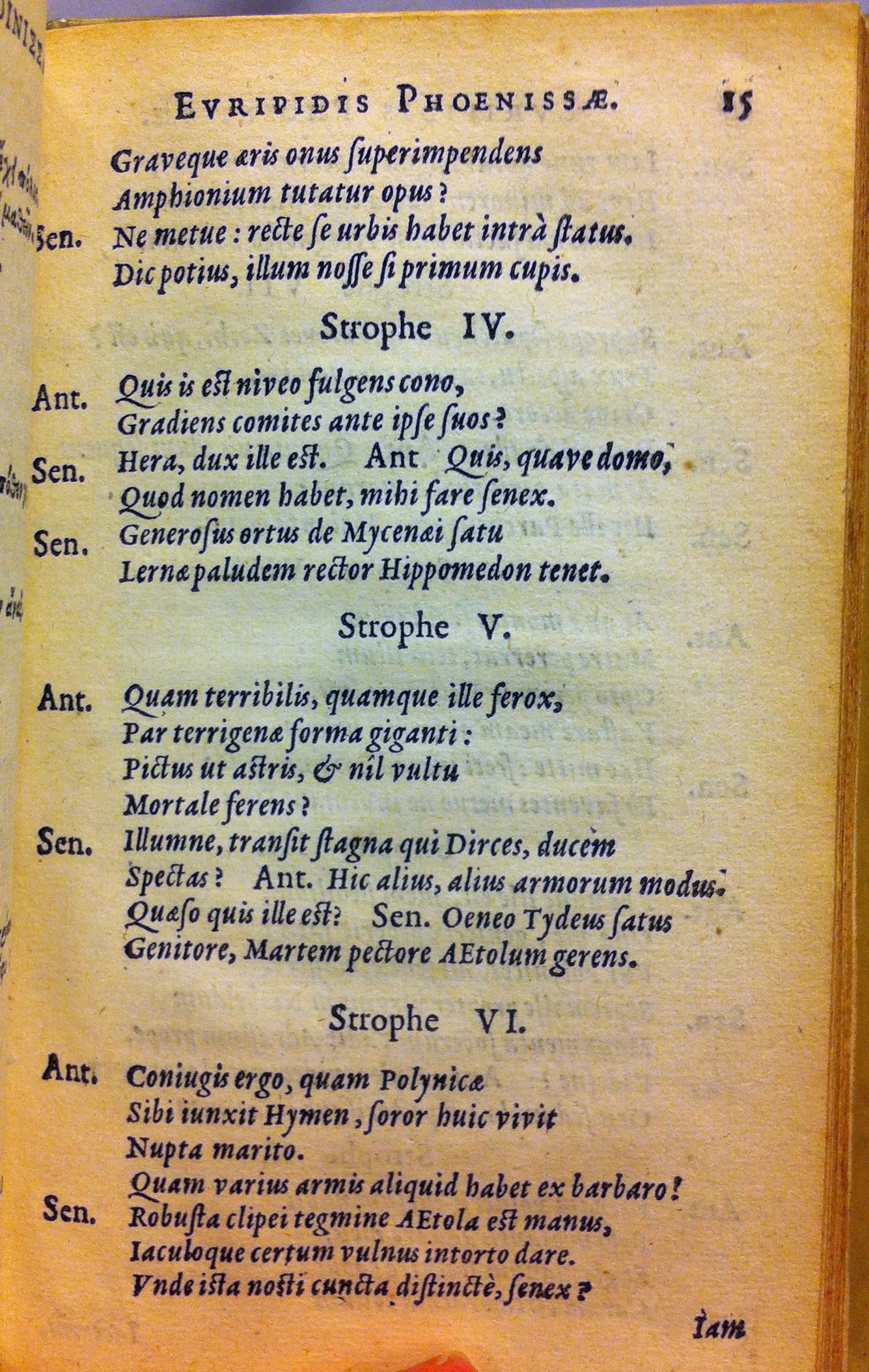 Phoenissae1630p15.jpg