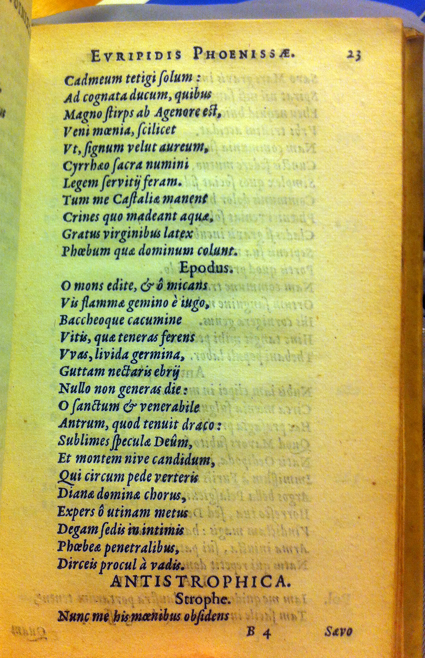 Phoenissae1630p23.jpg