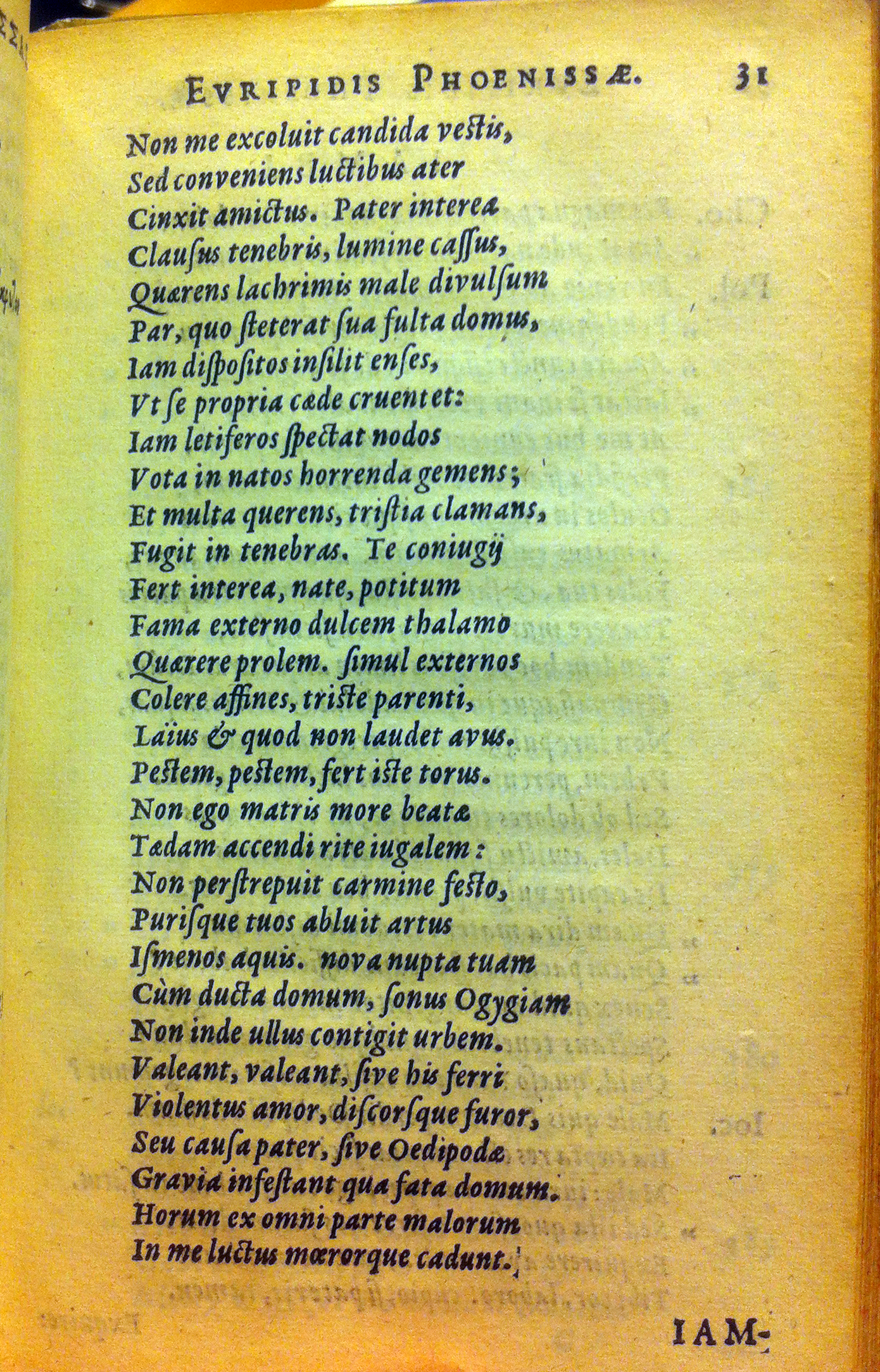 Phoenissae1630p31.jpg