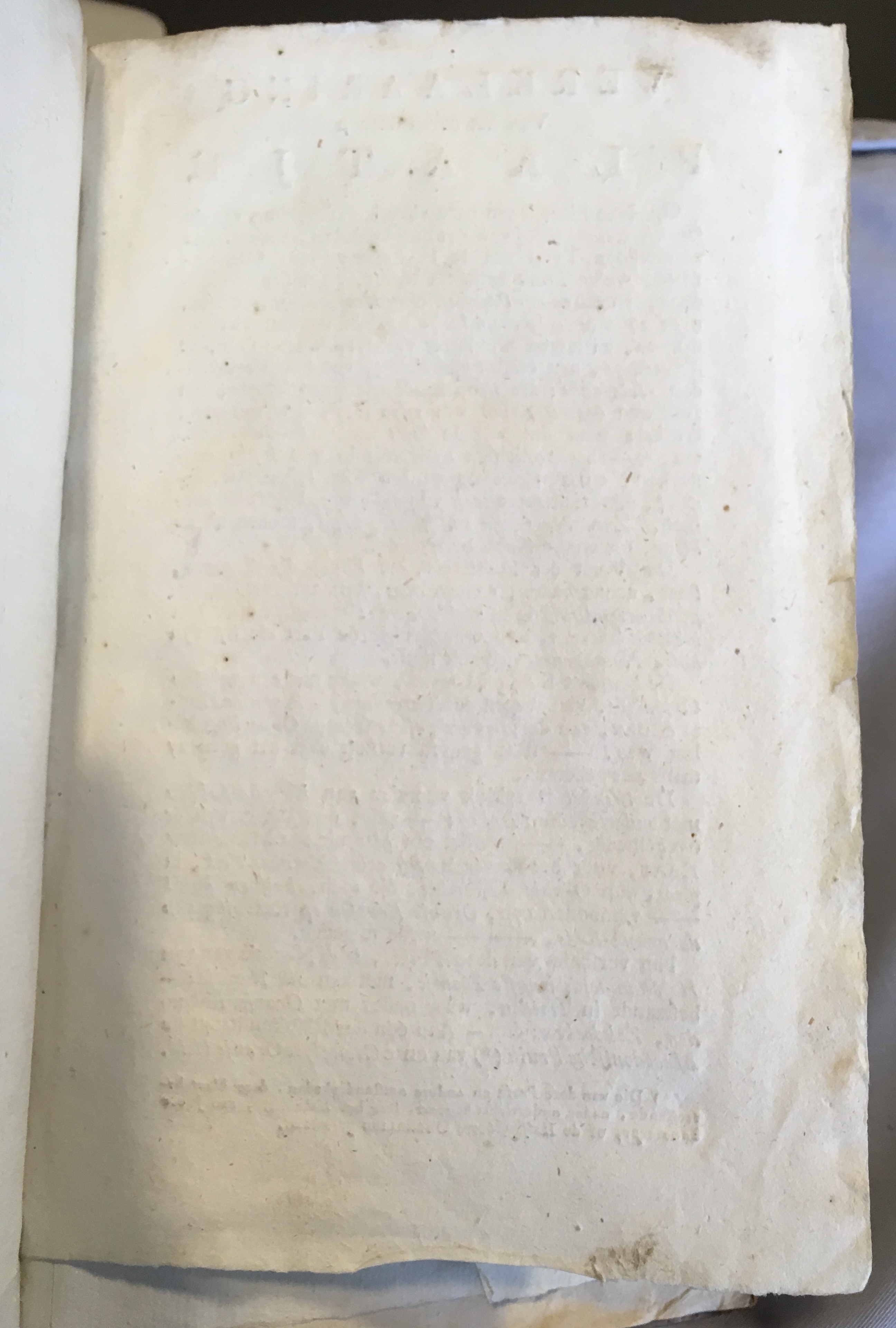 Halfgeschoorne1784a01.jpg