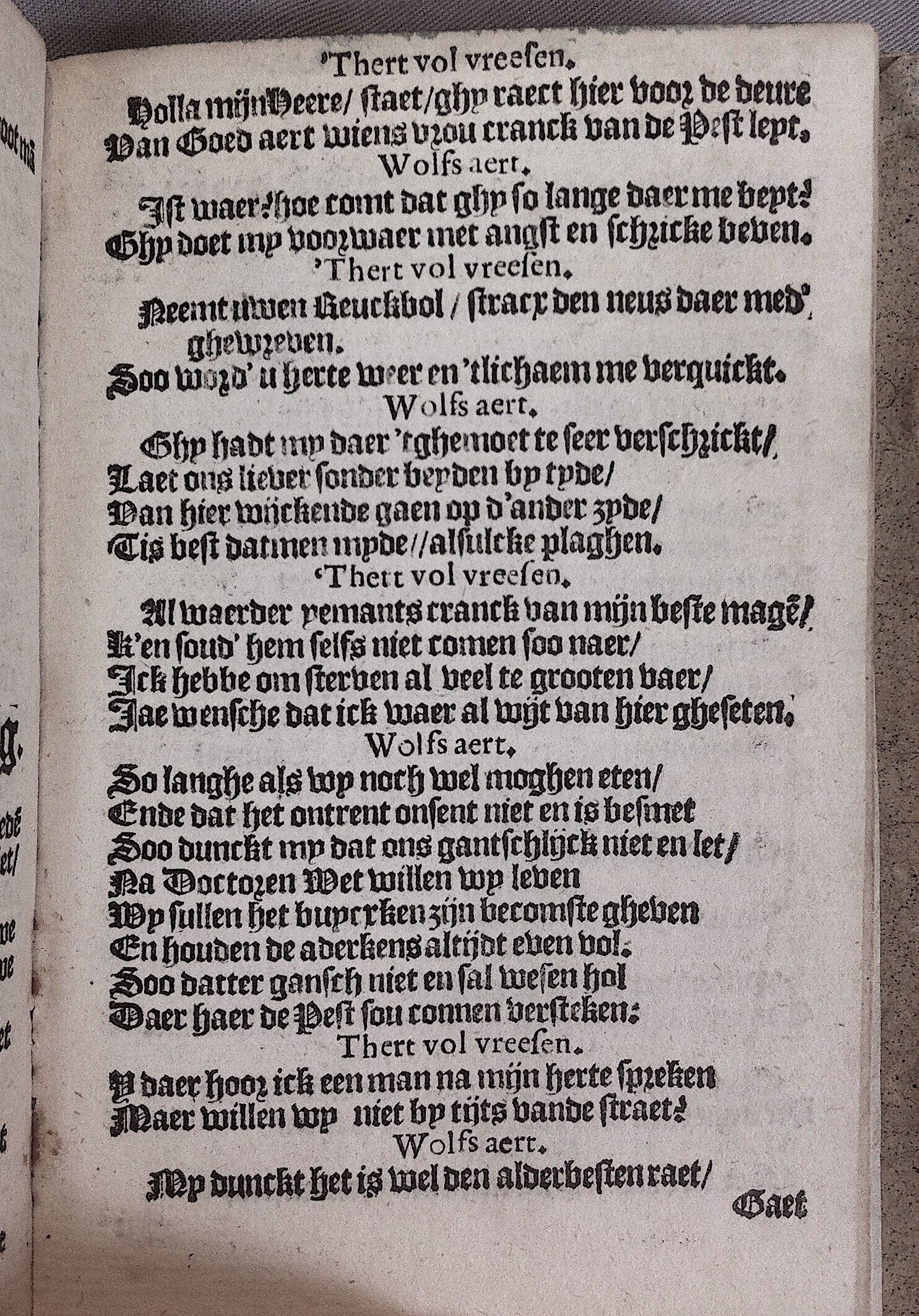 HeynsPestspieghel1602p27