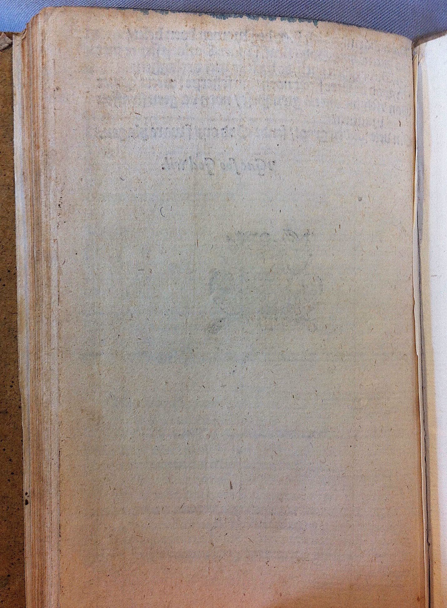 HeynsPestspieghel1602p48