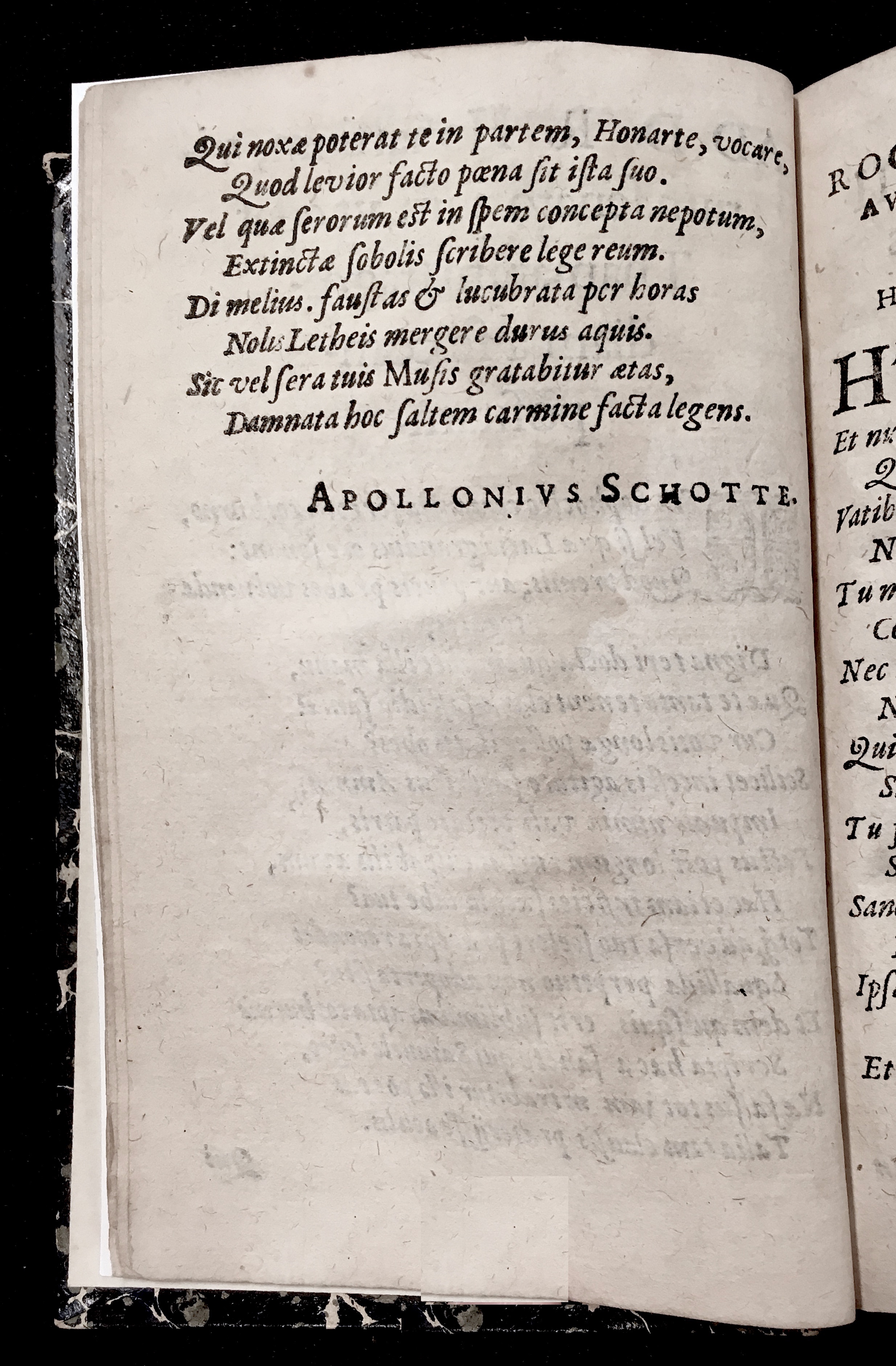 HonerdusThamara1611a12