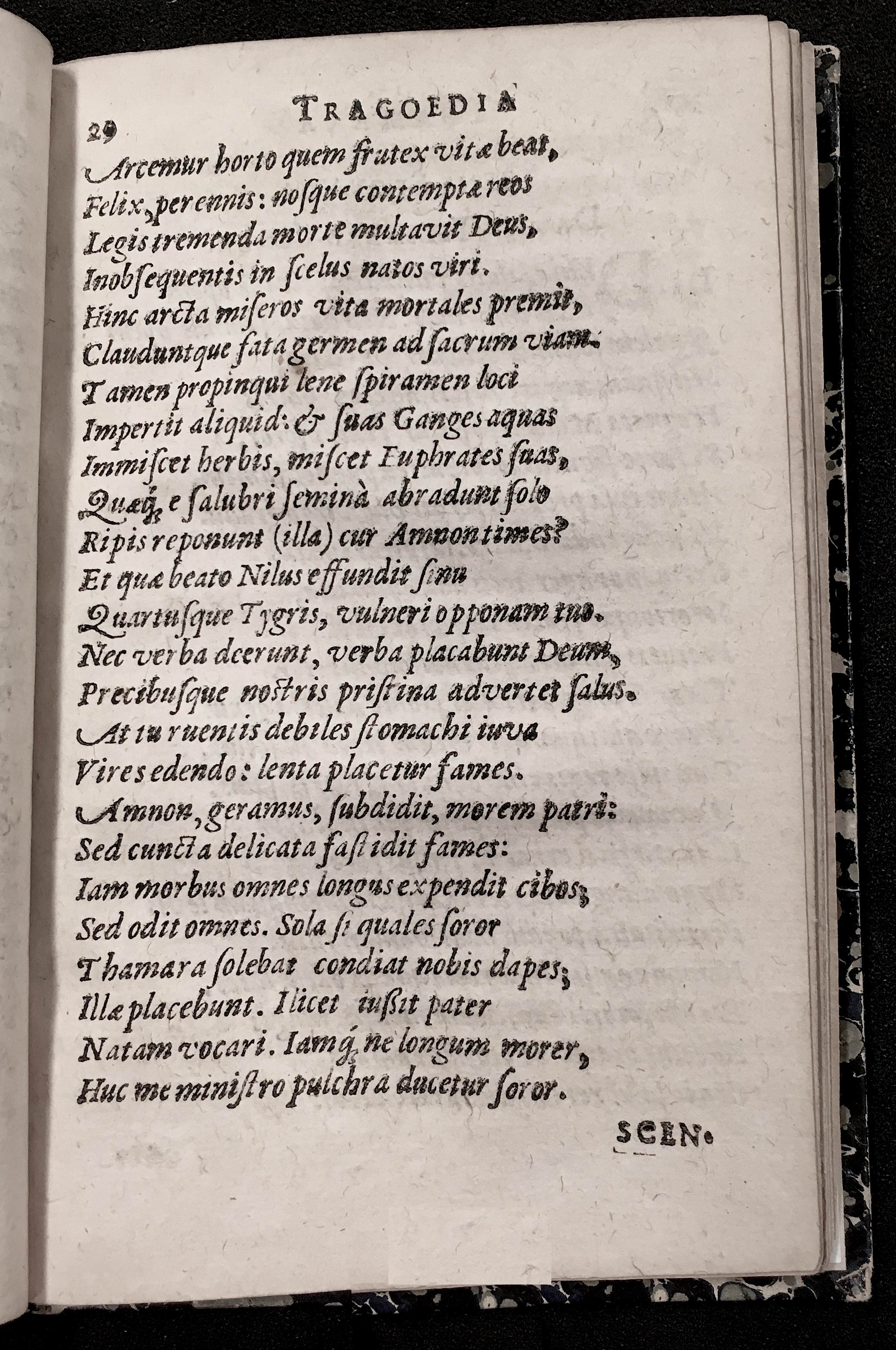 HonerdusThamara1611p29