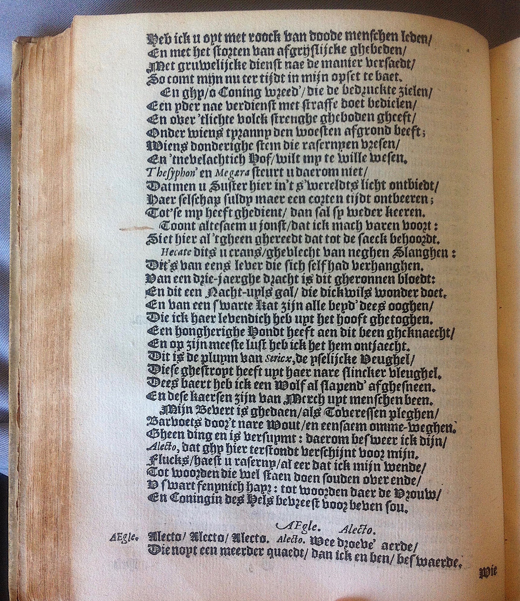 HooftTheseus1614p30.jpg