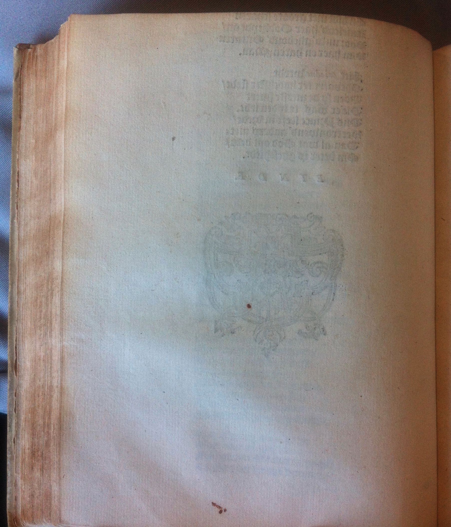 HooftTheseus1614p44