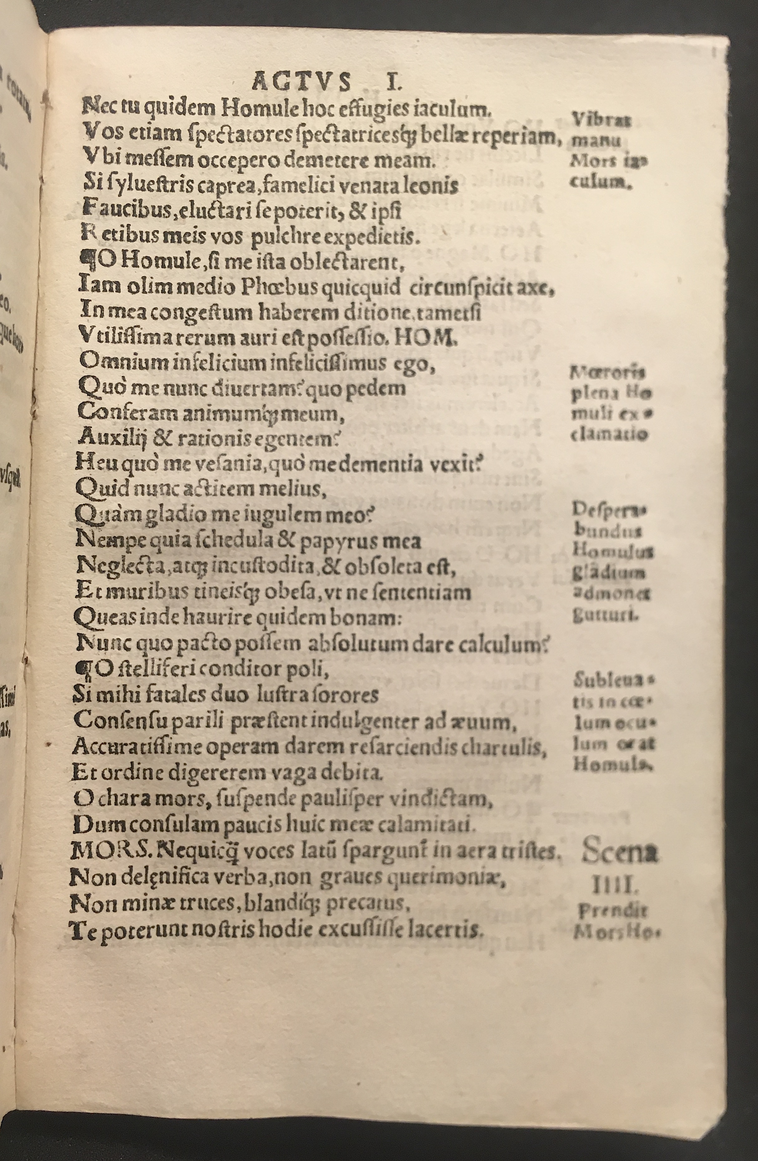 IschyriusHomulus1536p13.jpg