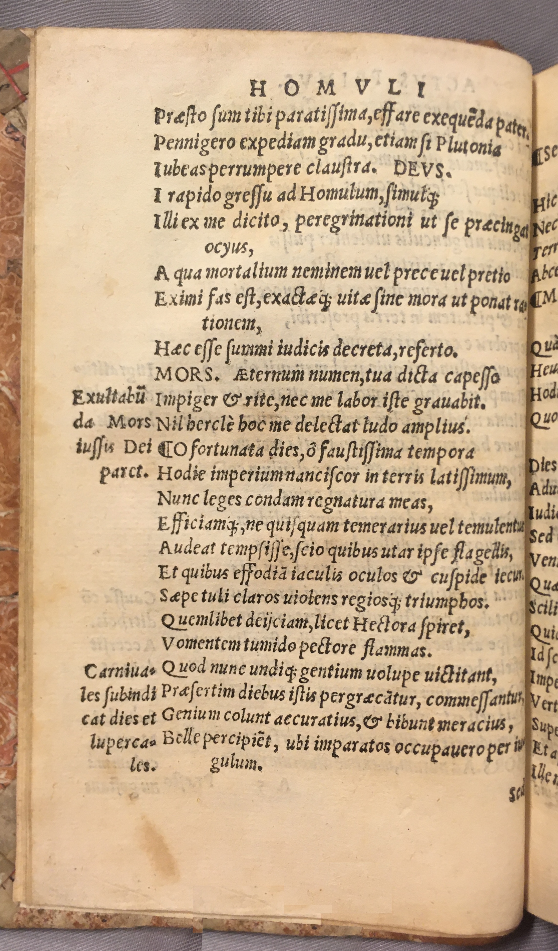 IschyriusHomulus1538p10.jpg